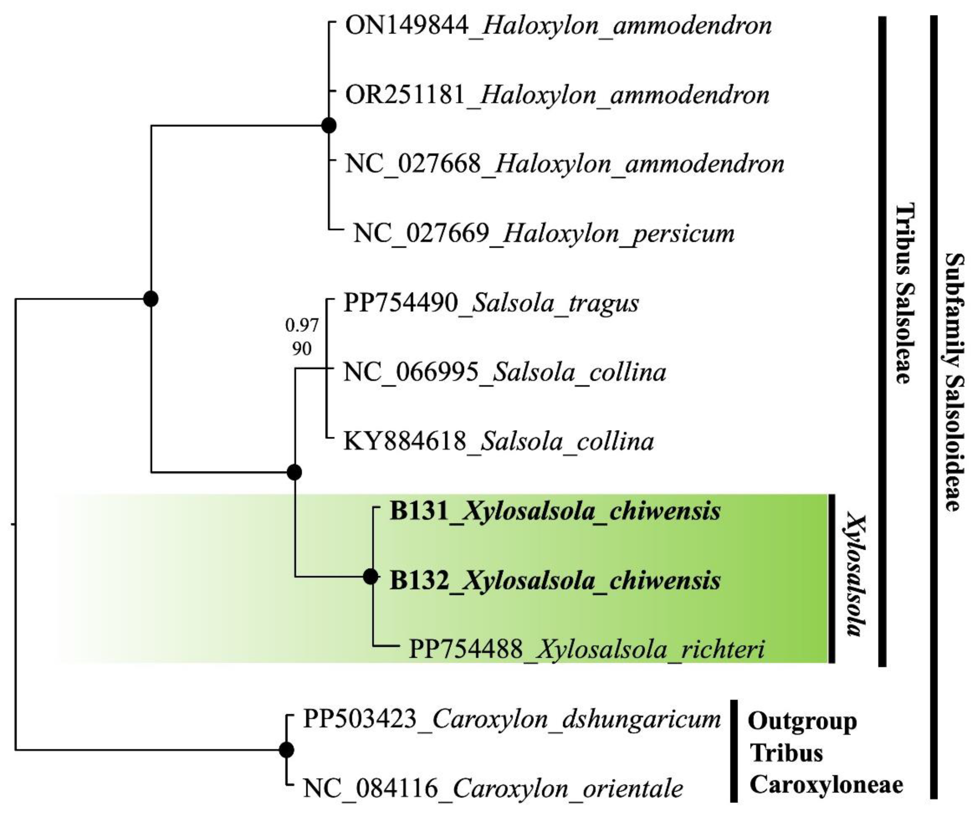 Preprints 161556 g013