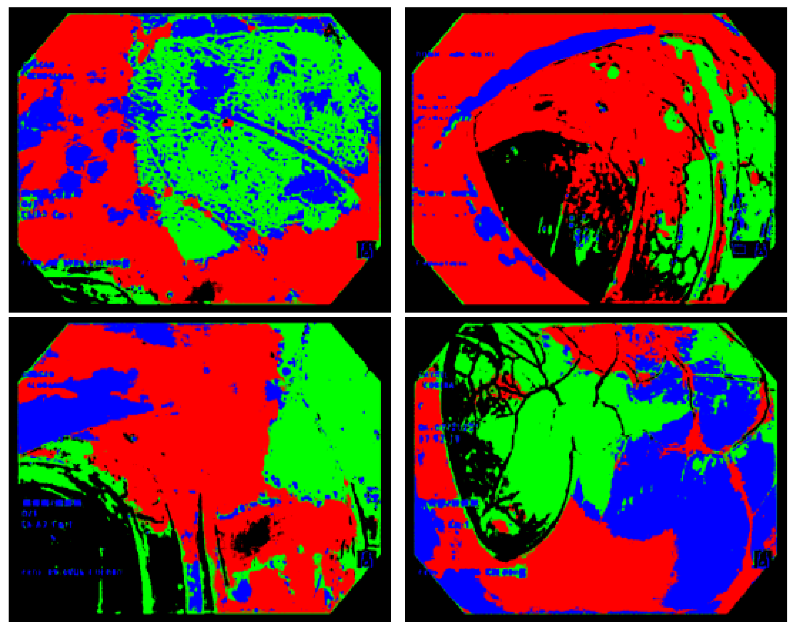 Preprints 216995 g005