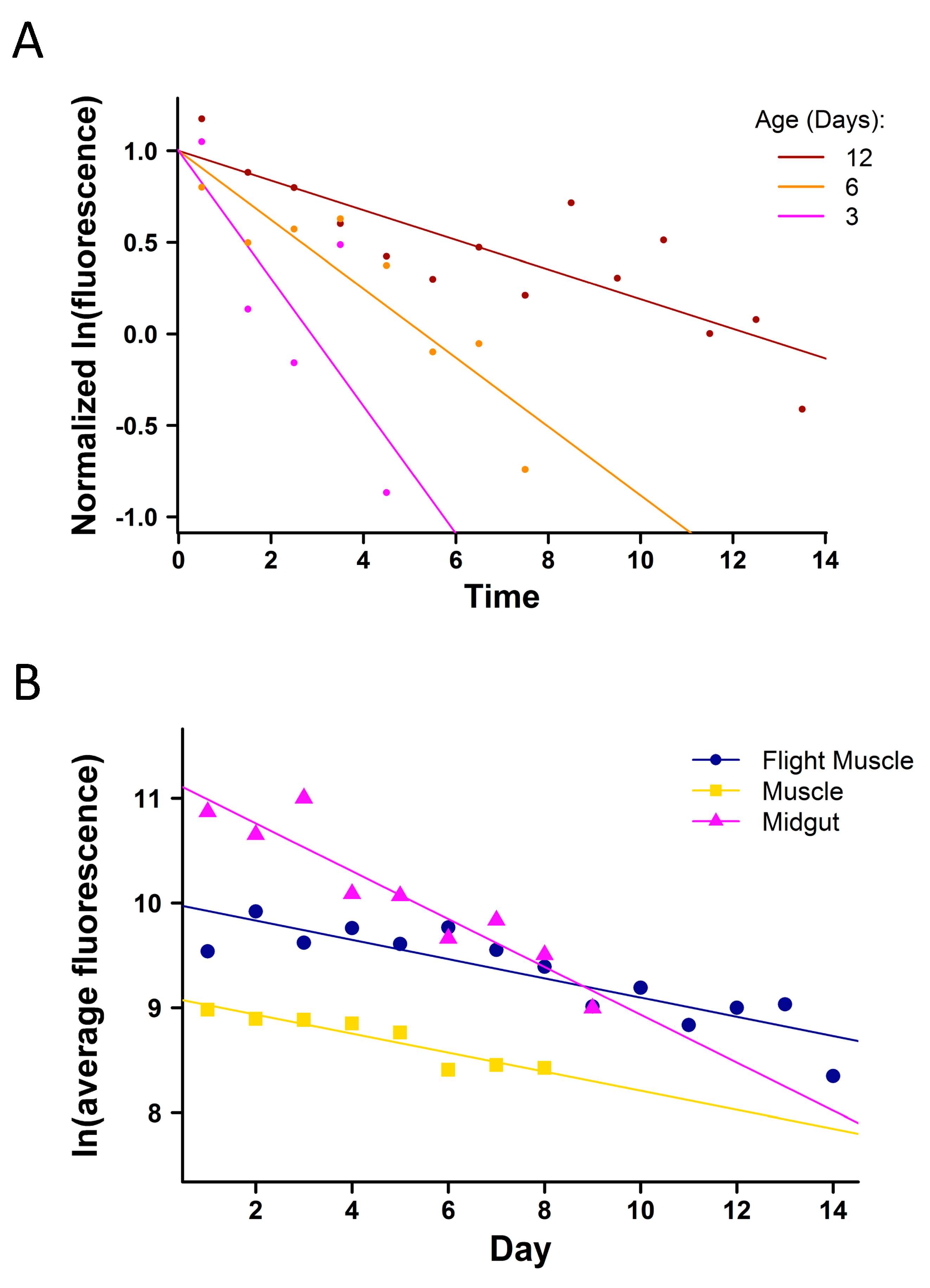 Preprints 152646 g003