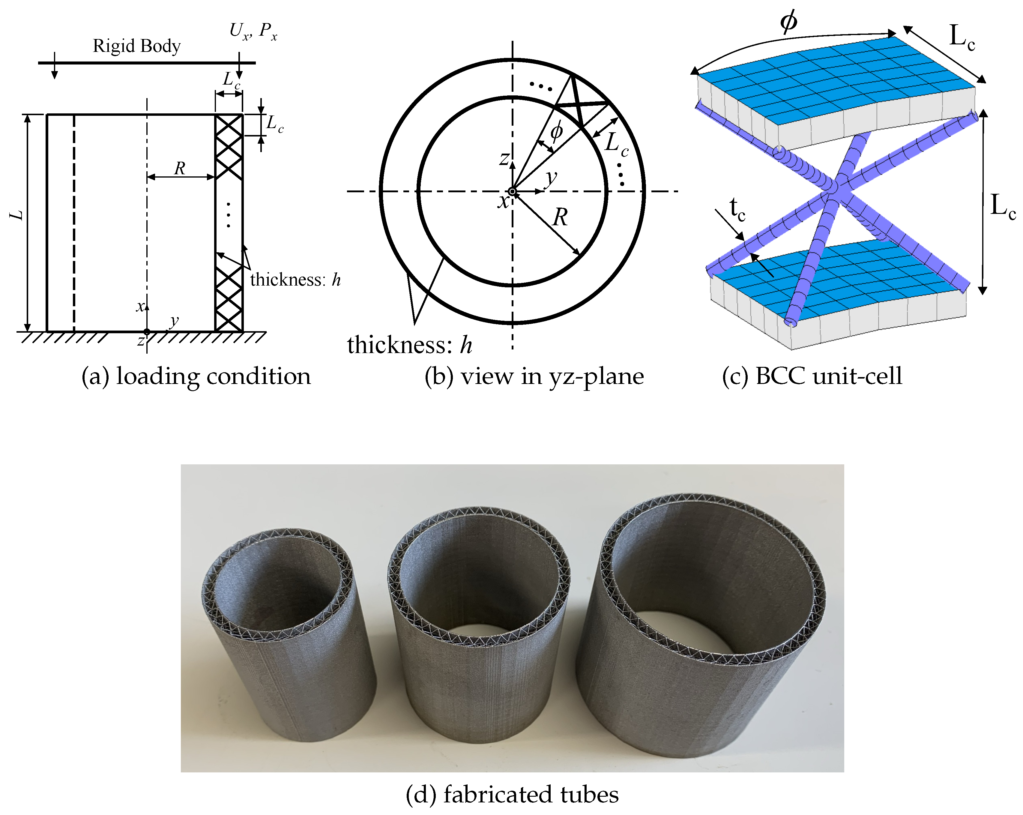 Preprints 143044 g001