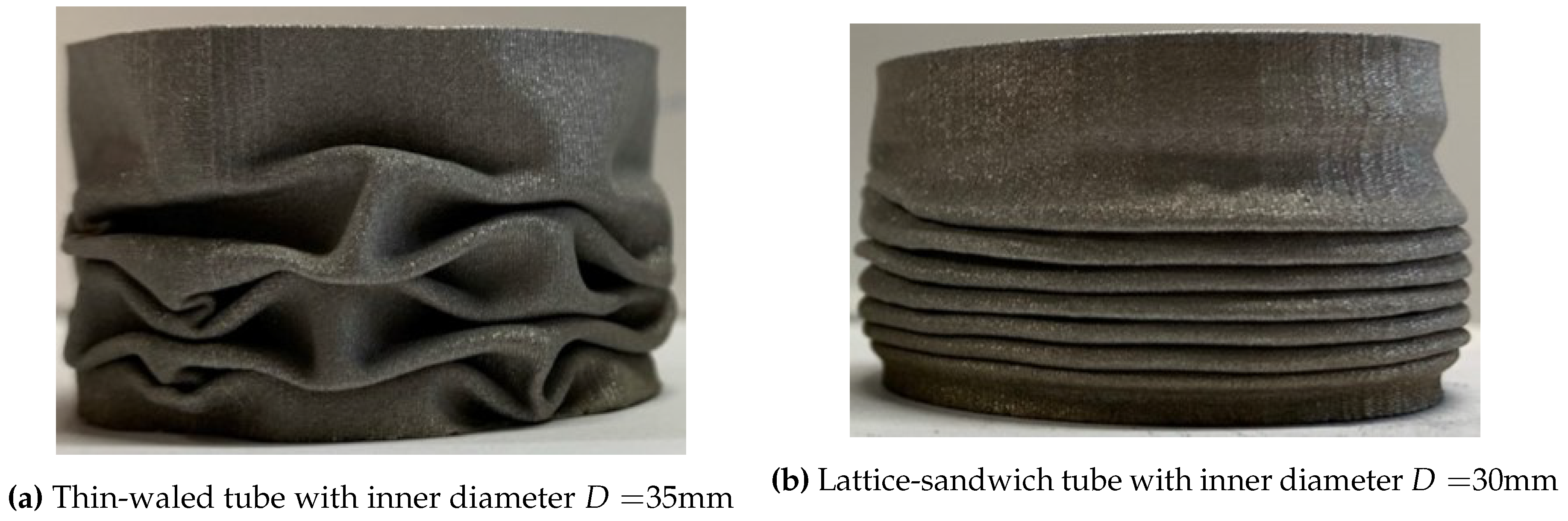 Preprints 143044 g018