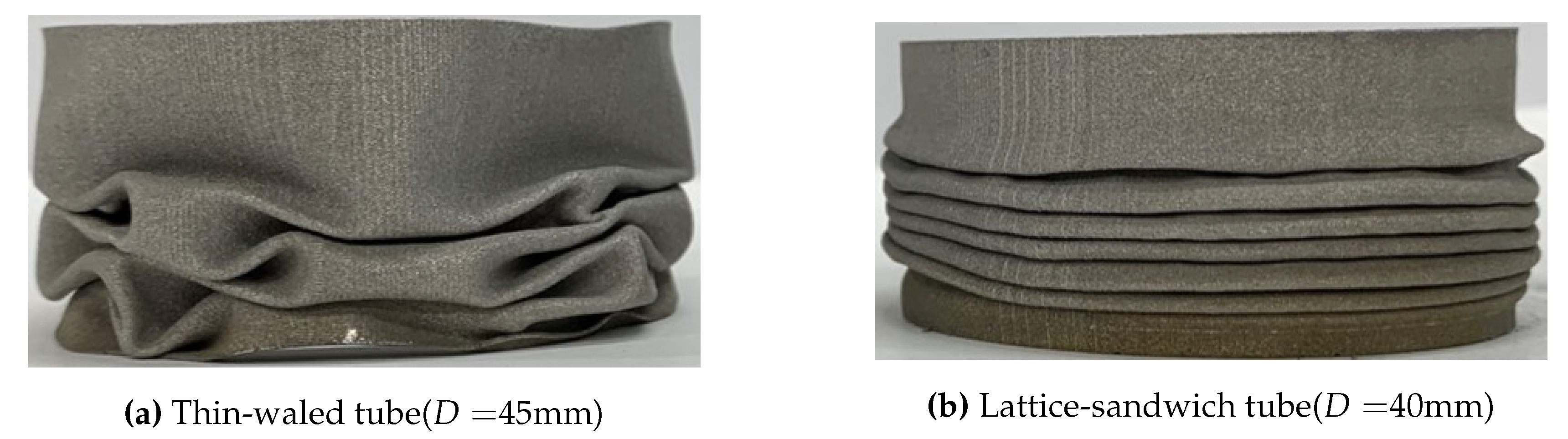 Preprints 143044 g020