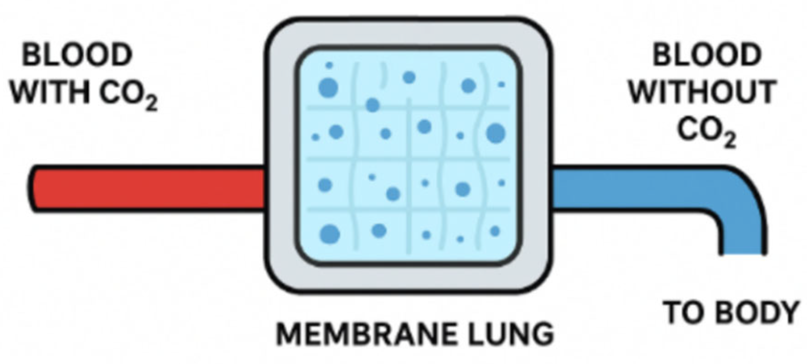 Preprints 178247 g001