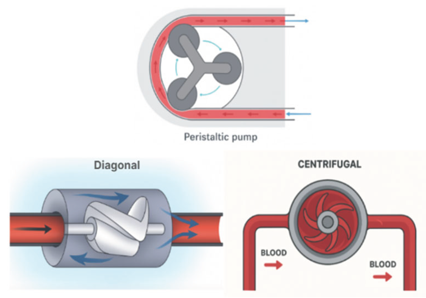 Preprints 178247 g002