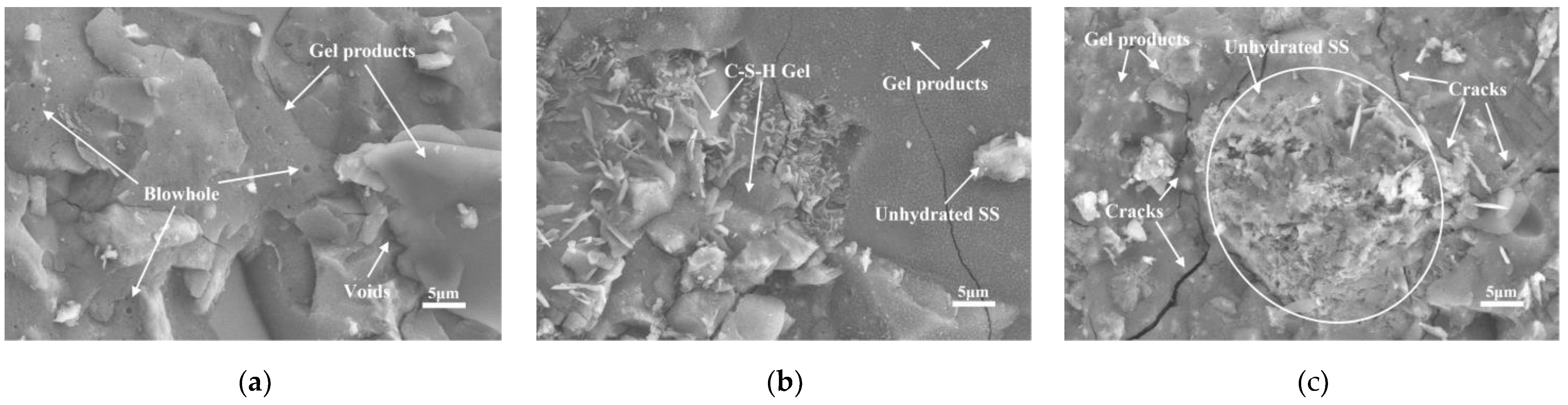 Preprints 70775 g005