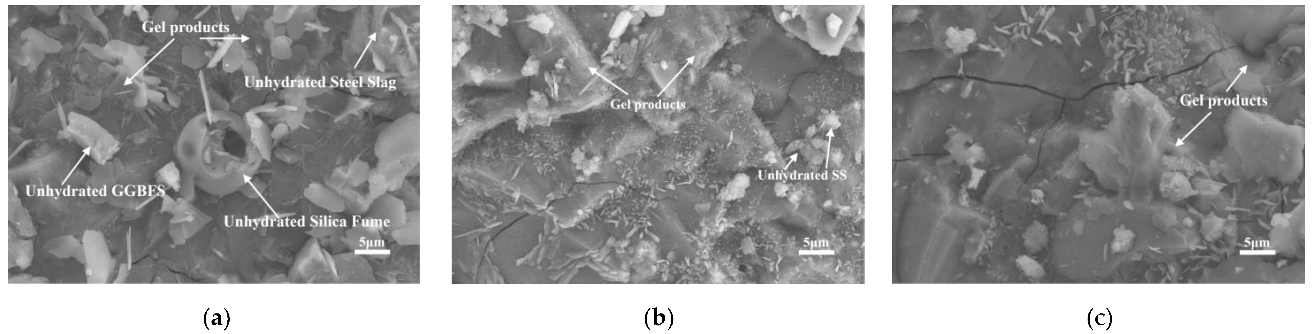 Preprints 70775 g006