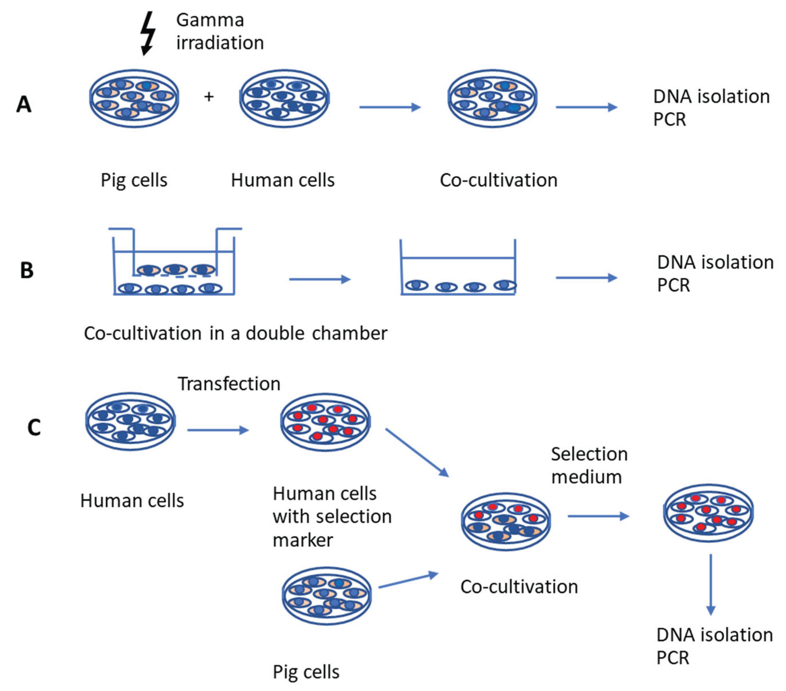 Preprints 163490 g001