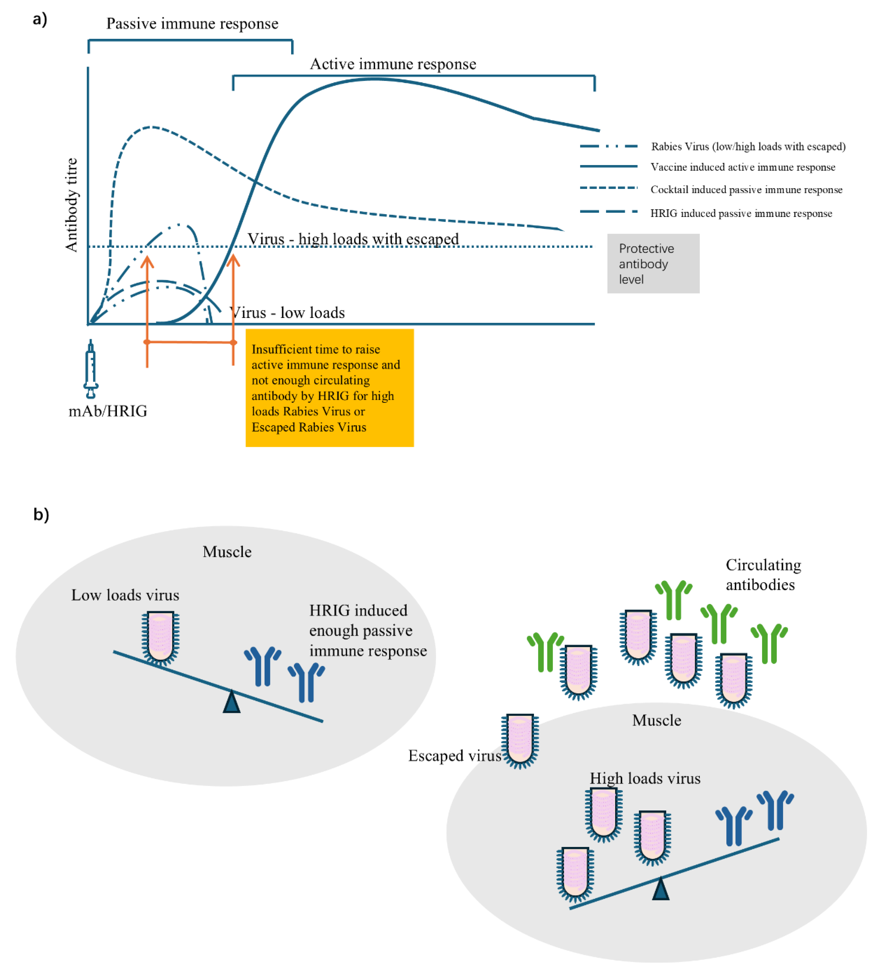 え OLYMPUS OM SYSTEM SALES BROCHURE/164067 | eBay