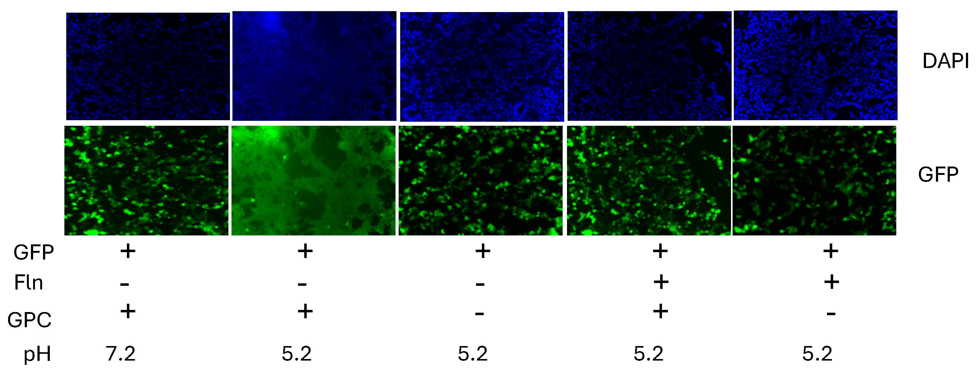 Preprints 139591 g006