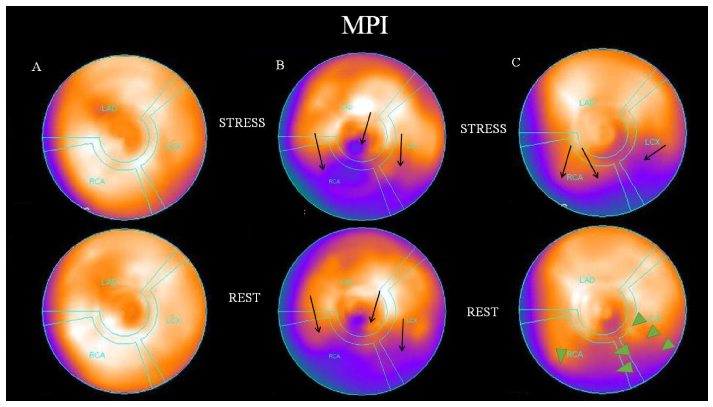 Preprints 95990 g001