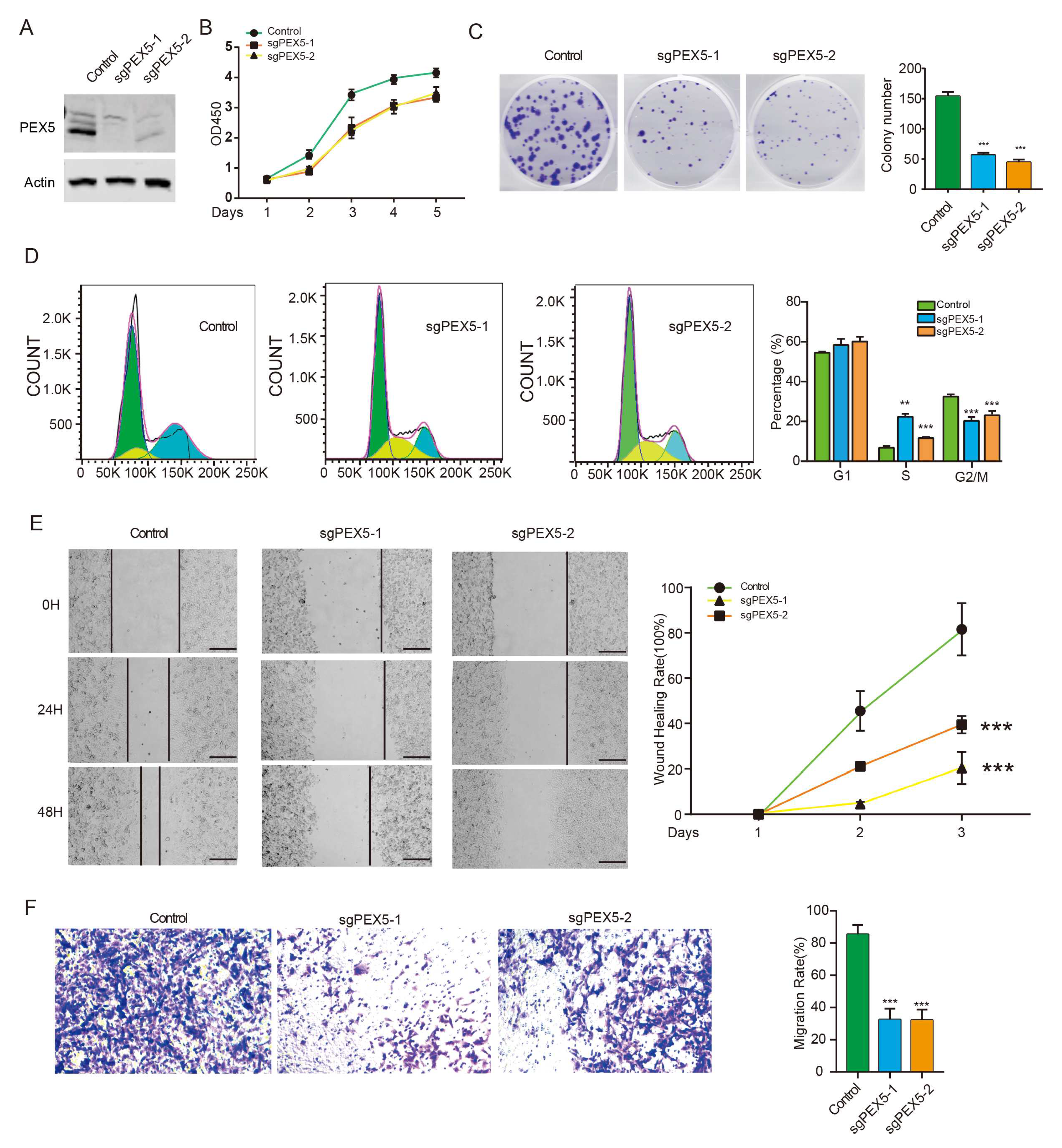 Preprints 86085 g006