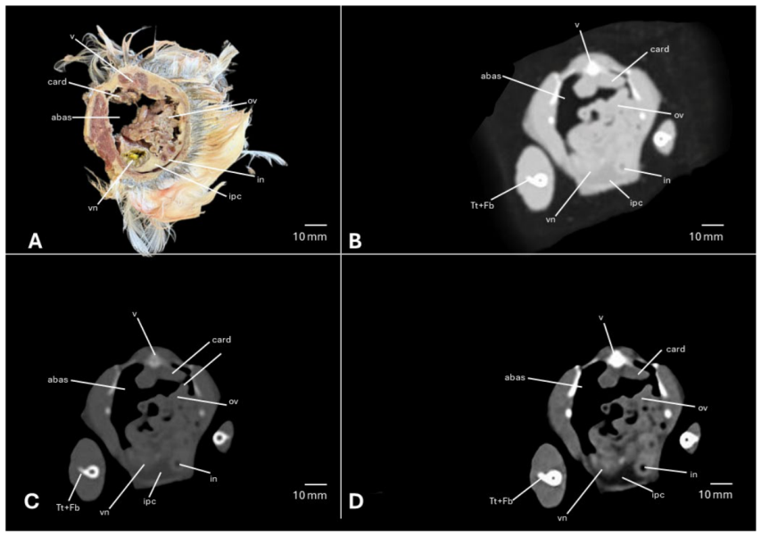 Preprints 217531 g018