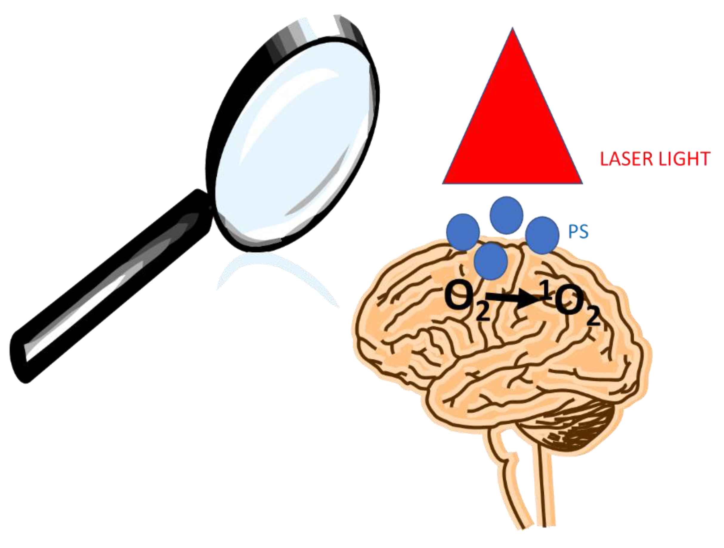 Preprints 144938 g001