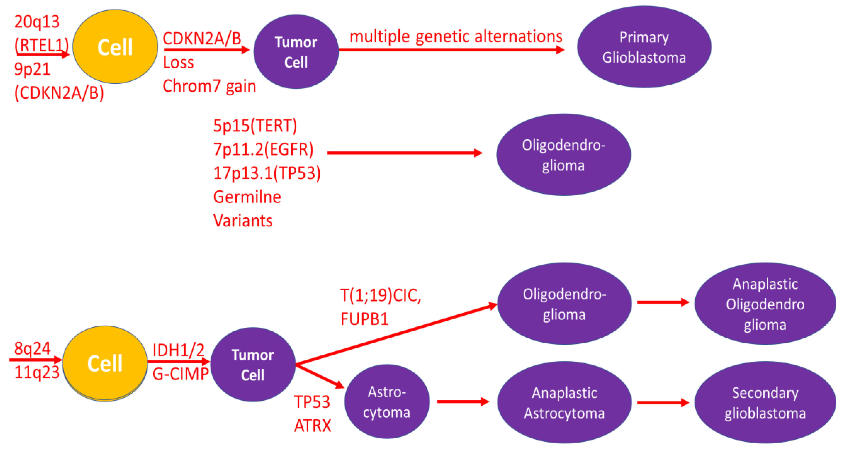 Preprints 144938 g002