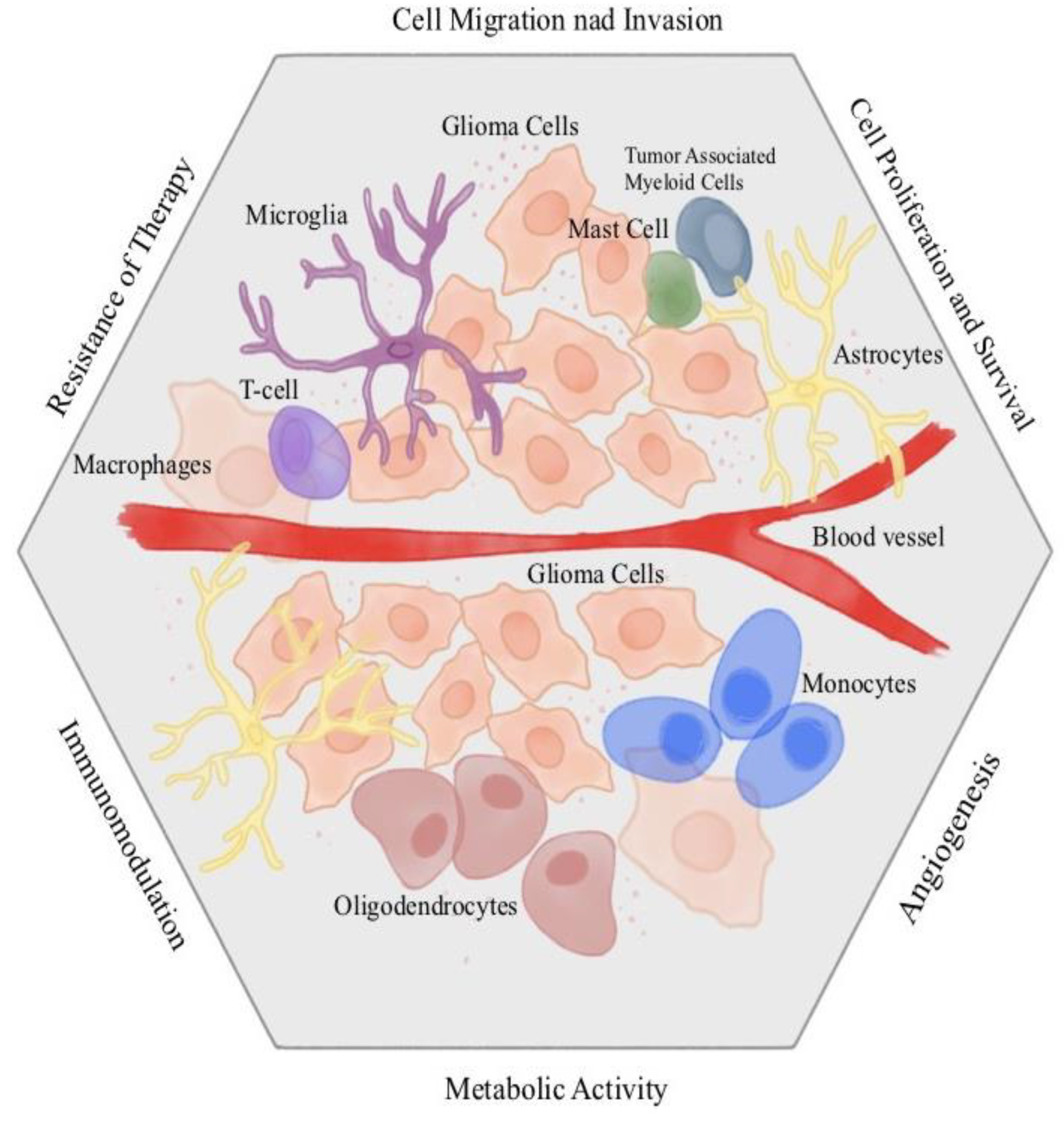 Preprints 144938 g004