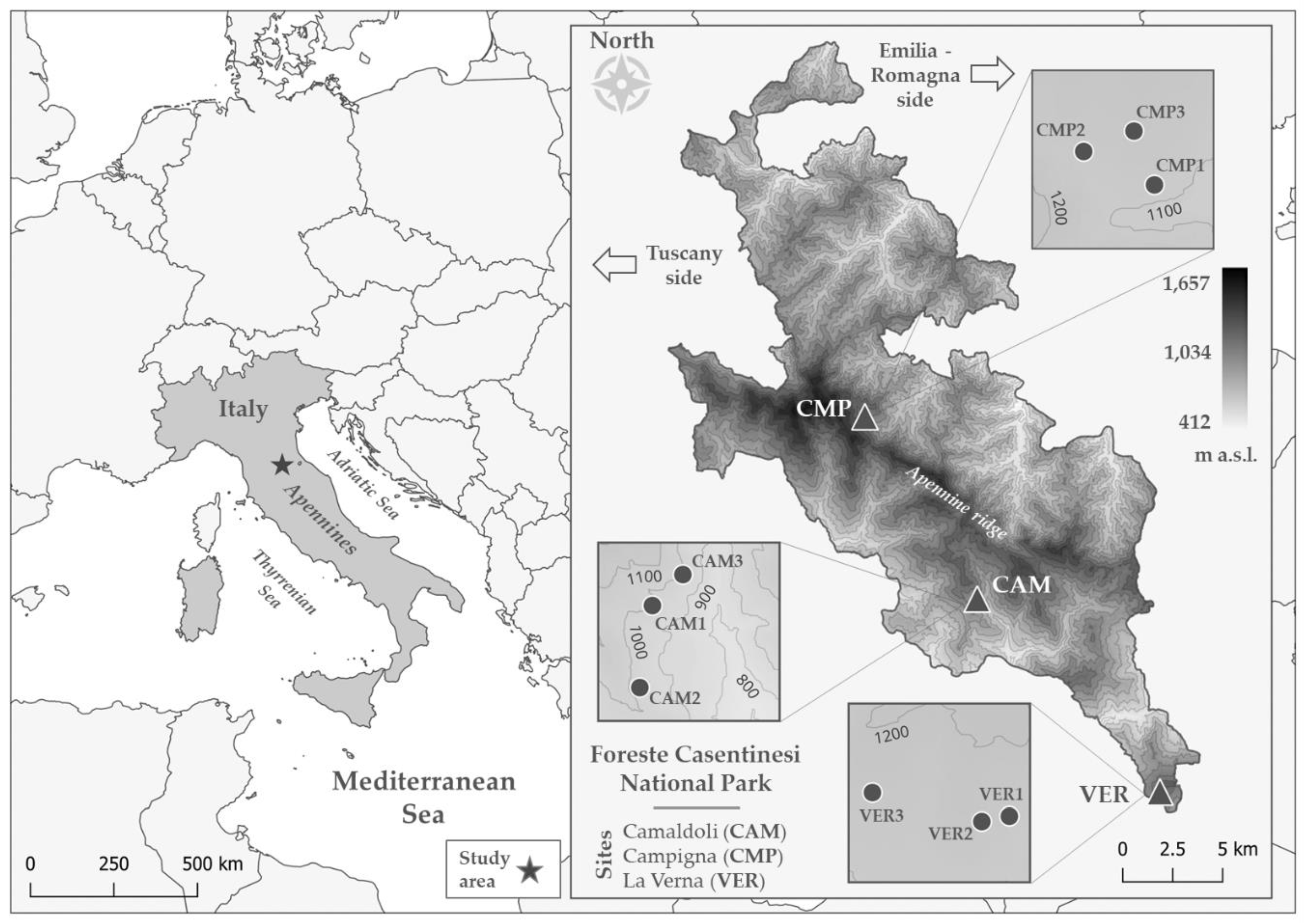 Preprints 145746 g001
