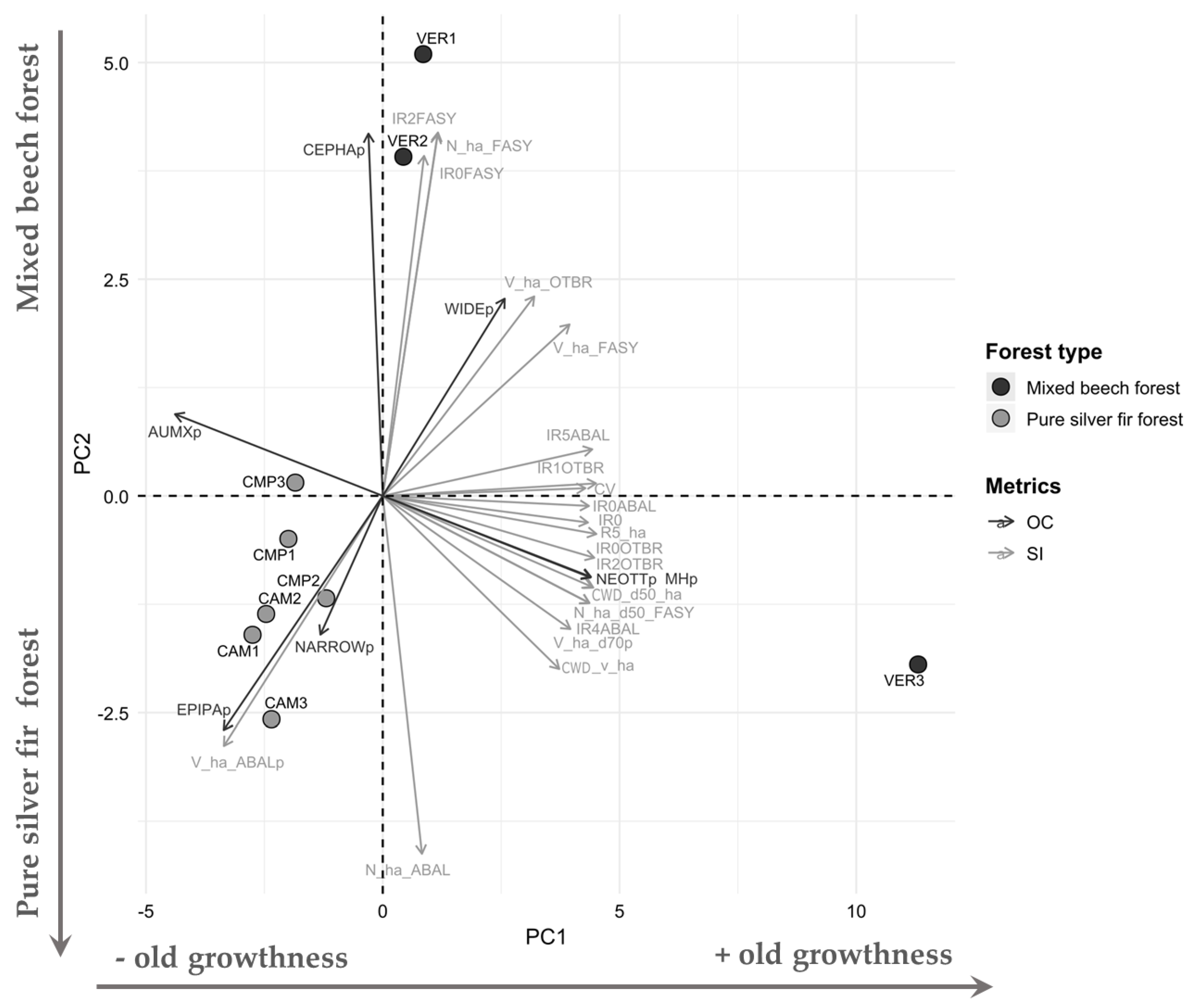 Preprints 145746 g008