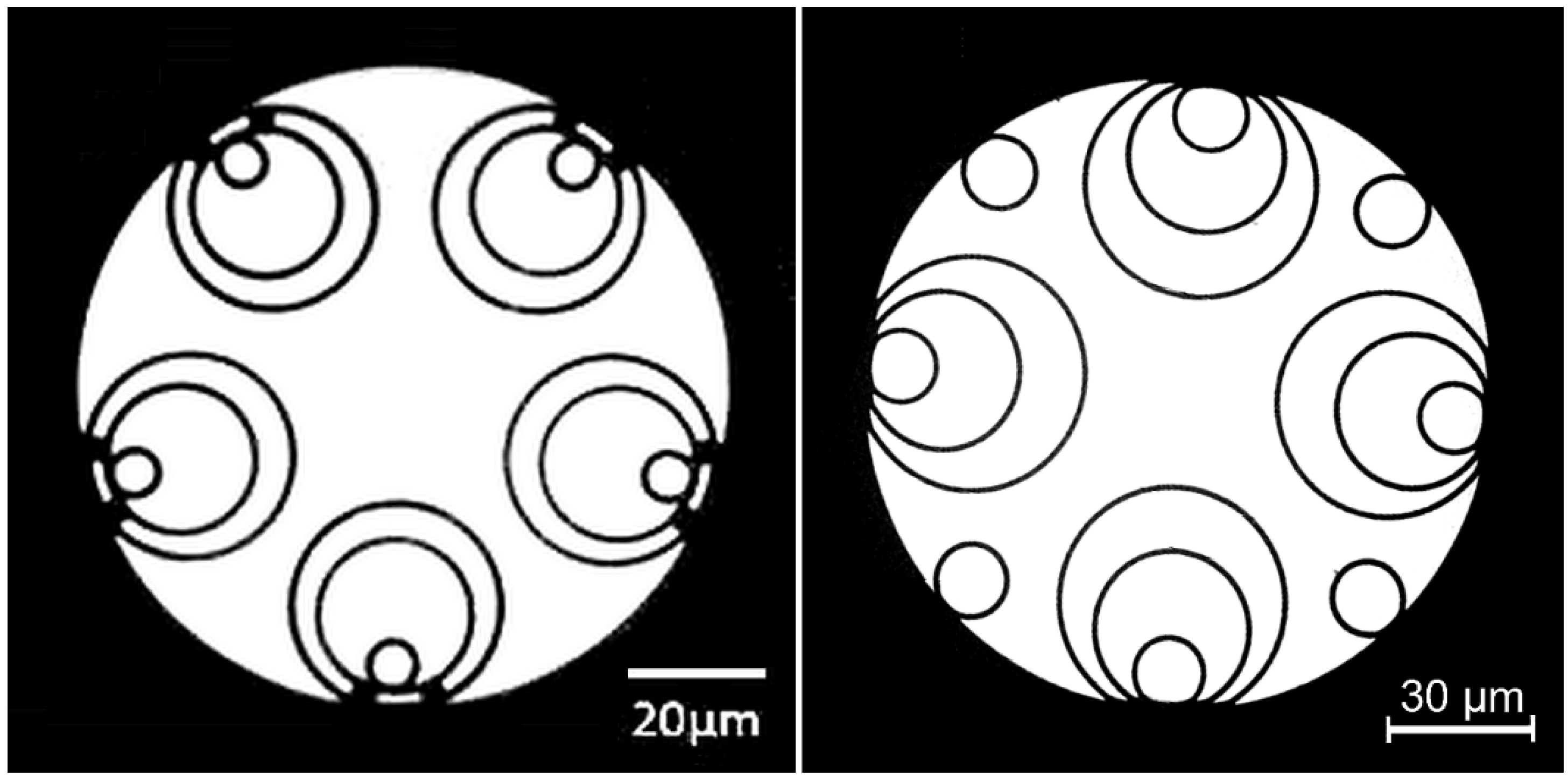 Preprints 199410 g003