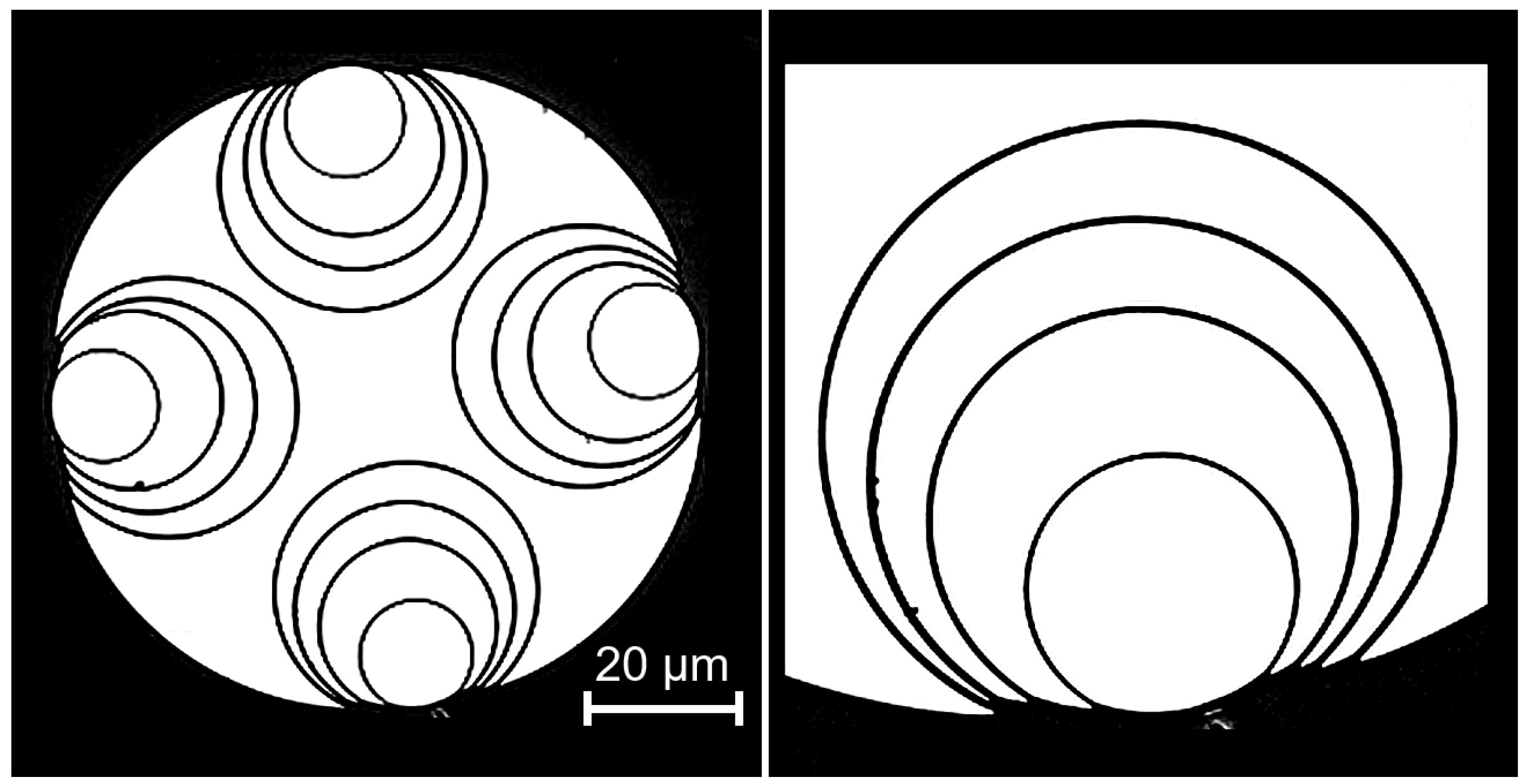 Preprints 199410 g005