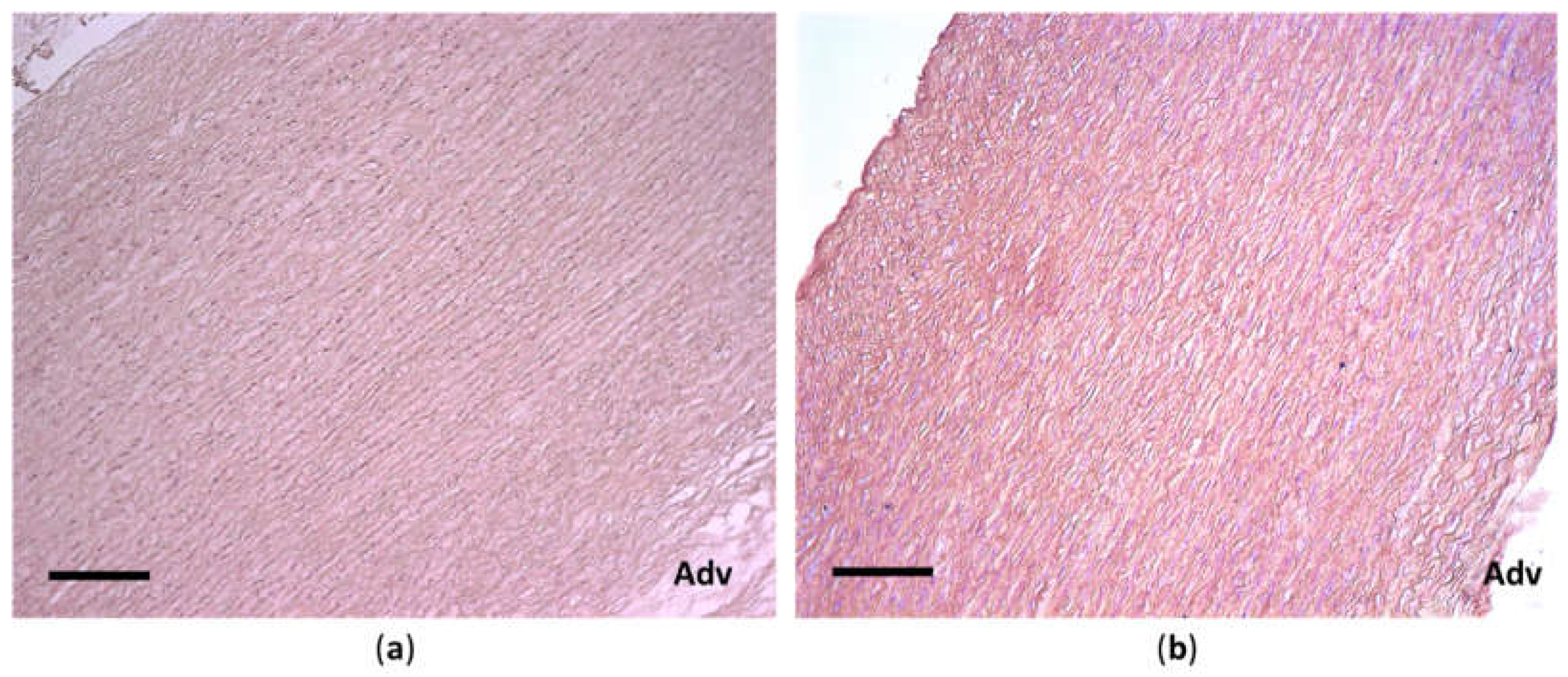 Preprints 141930 g006
