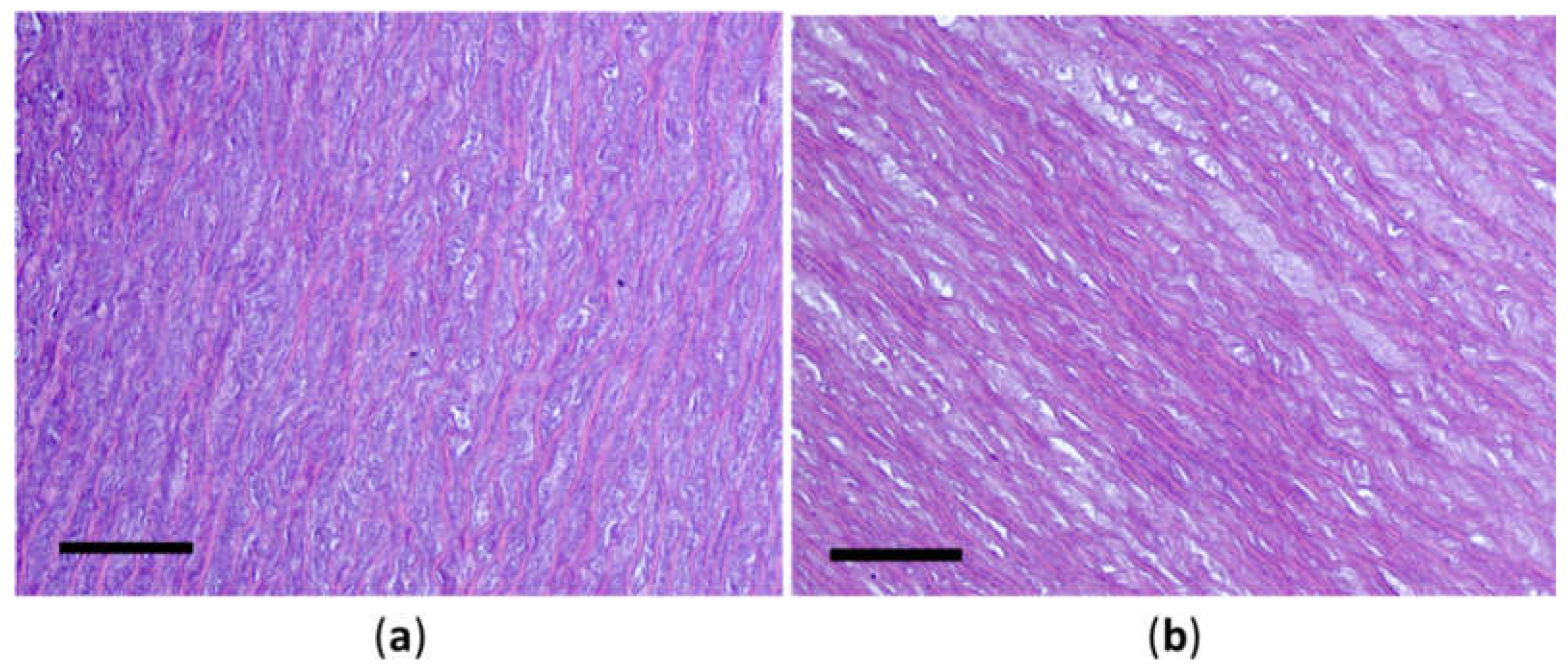 Preprints 141930 g007