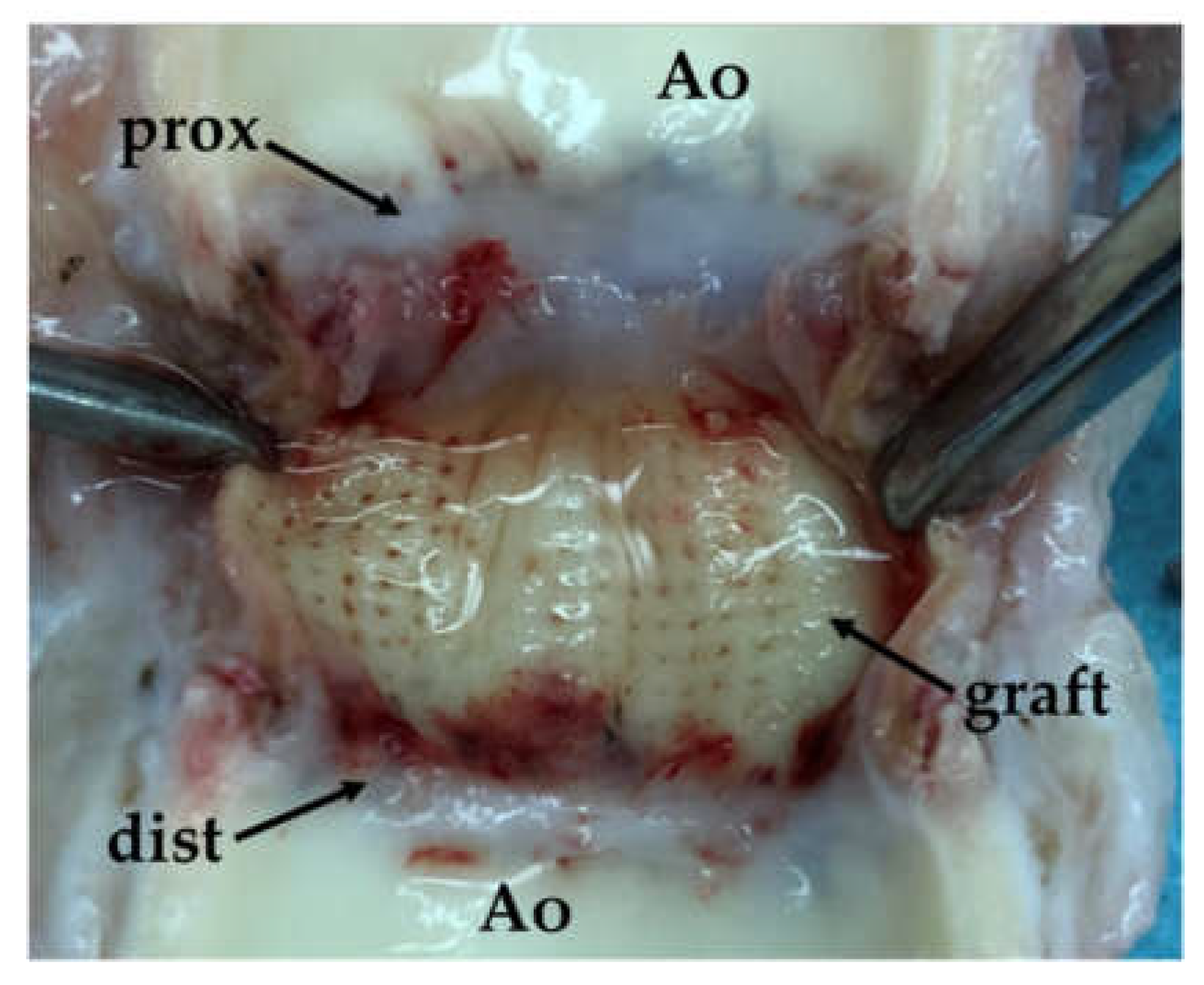 Preprints 141930 g011