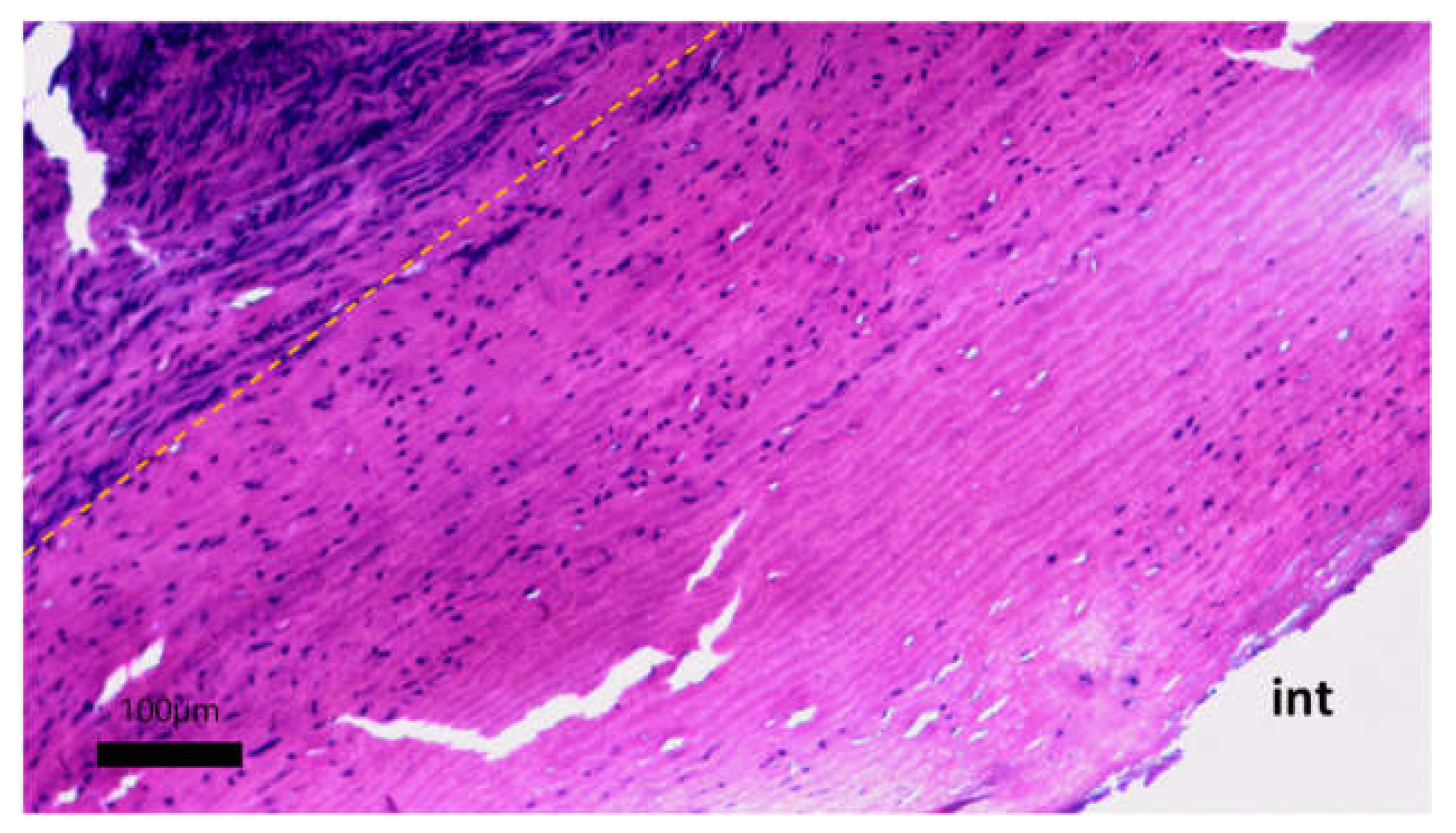 Preprints 141930 g012