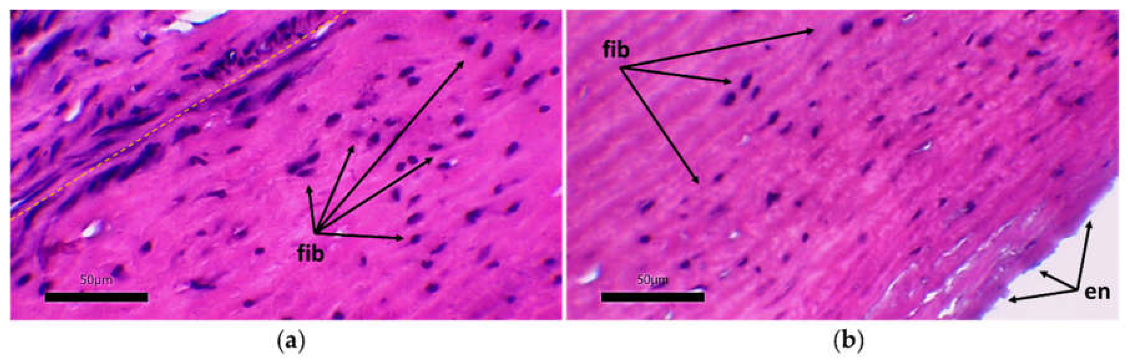Preprints 141930 g013
