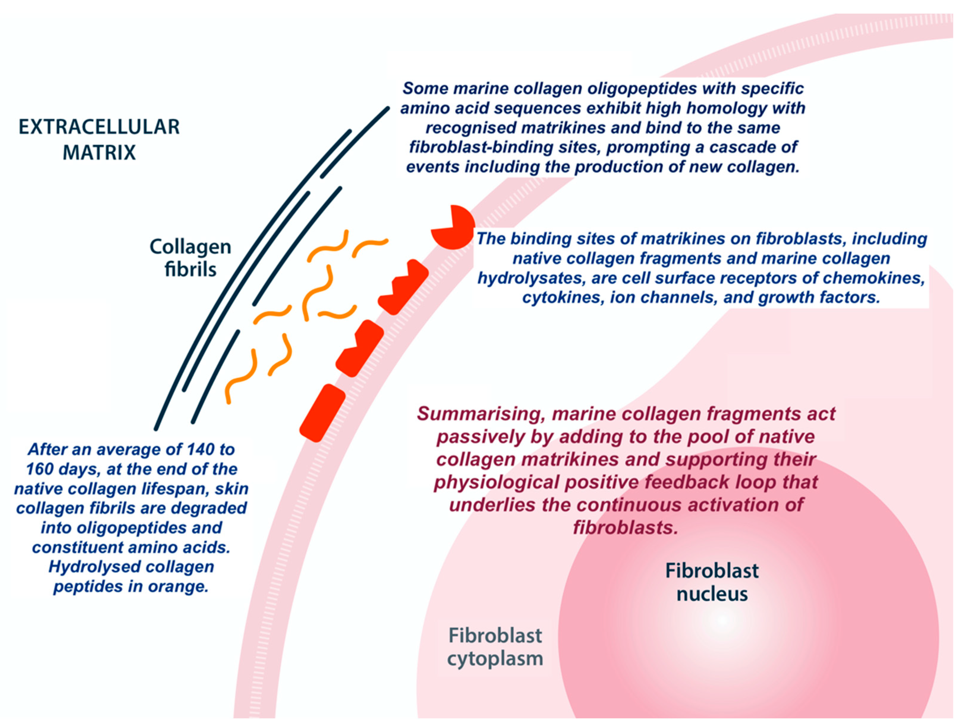 Preprints 206166 g004