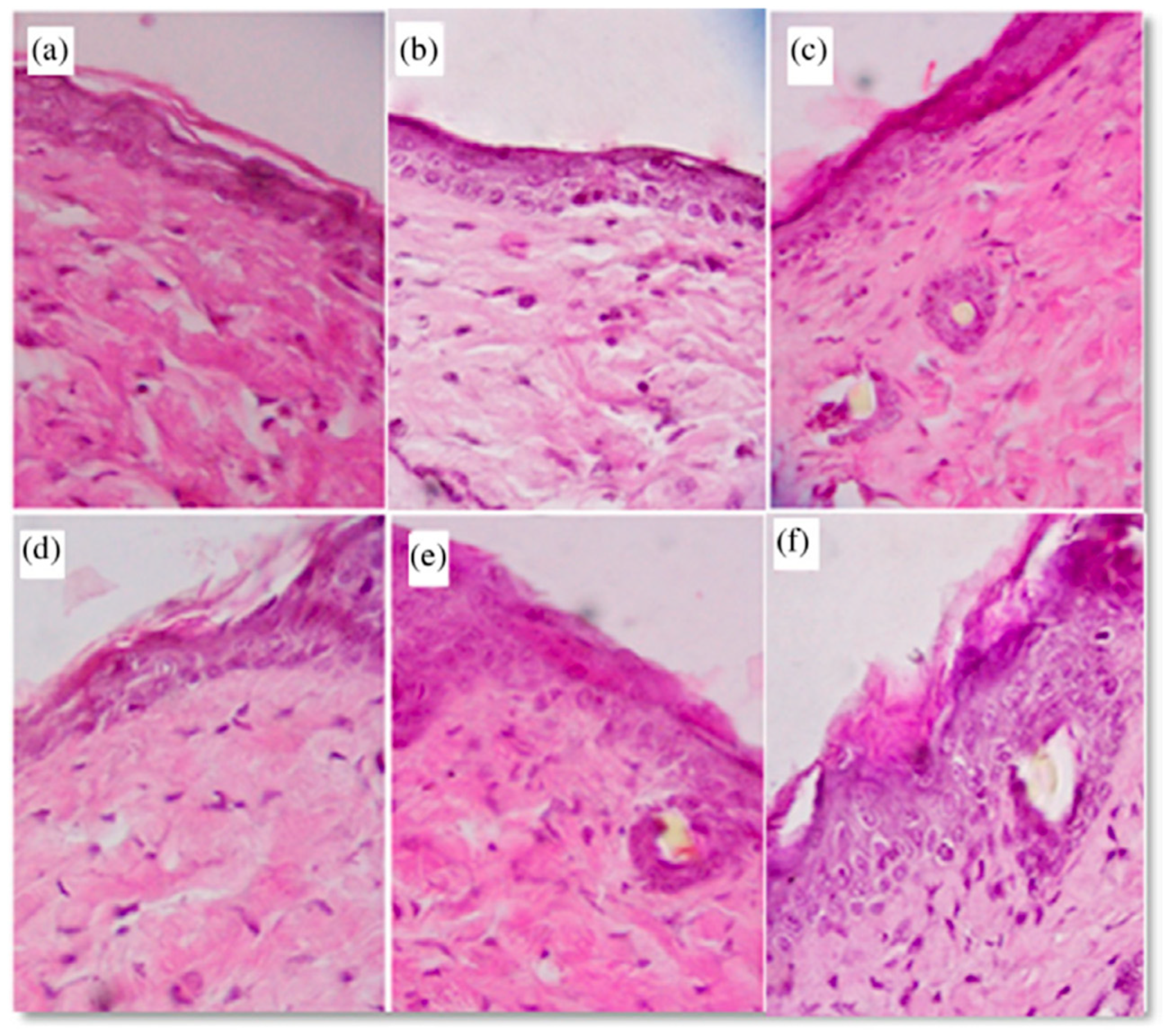 Preprints 206166 g005