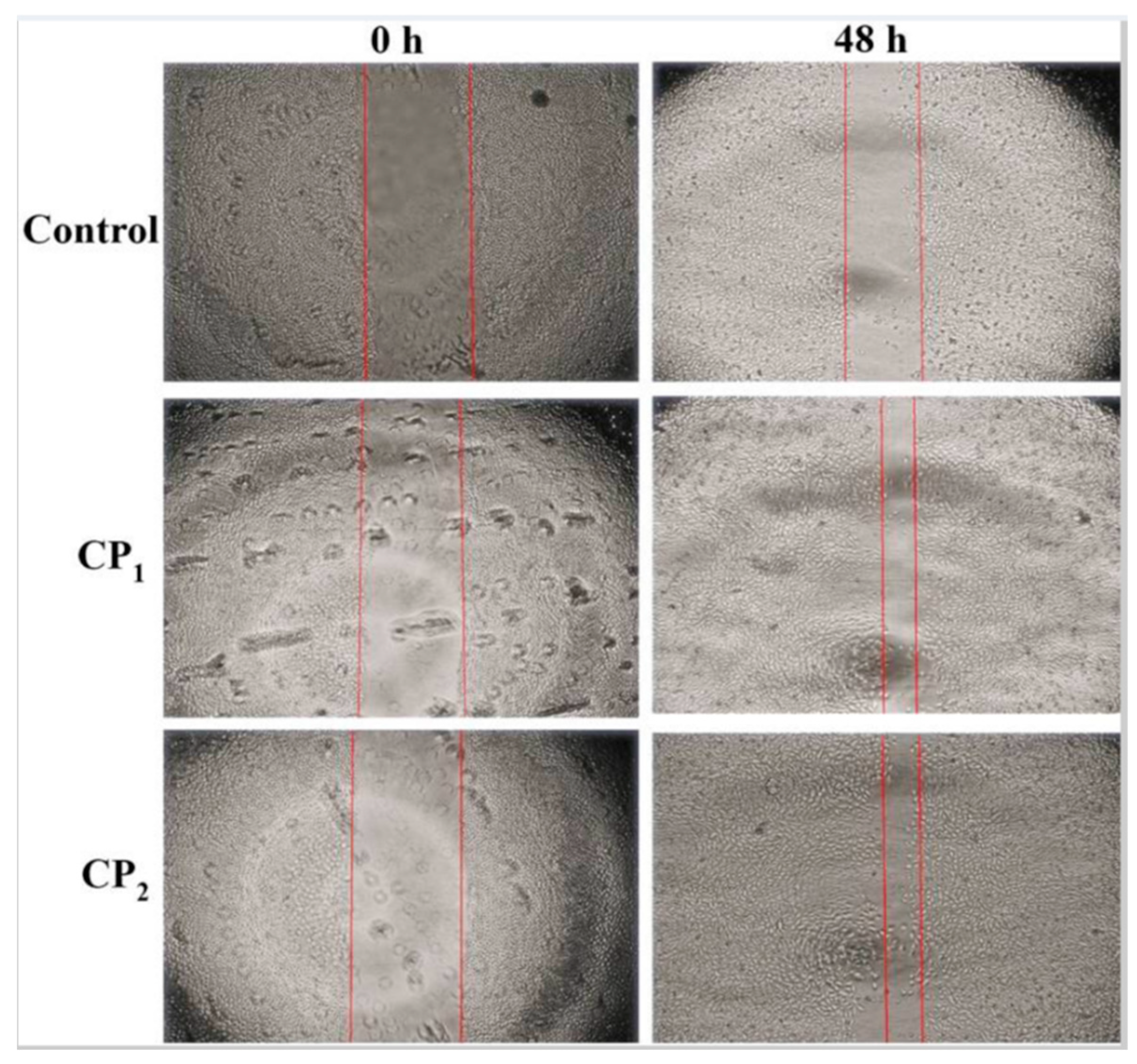 Preprints 206166 g006