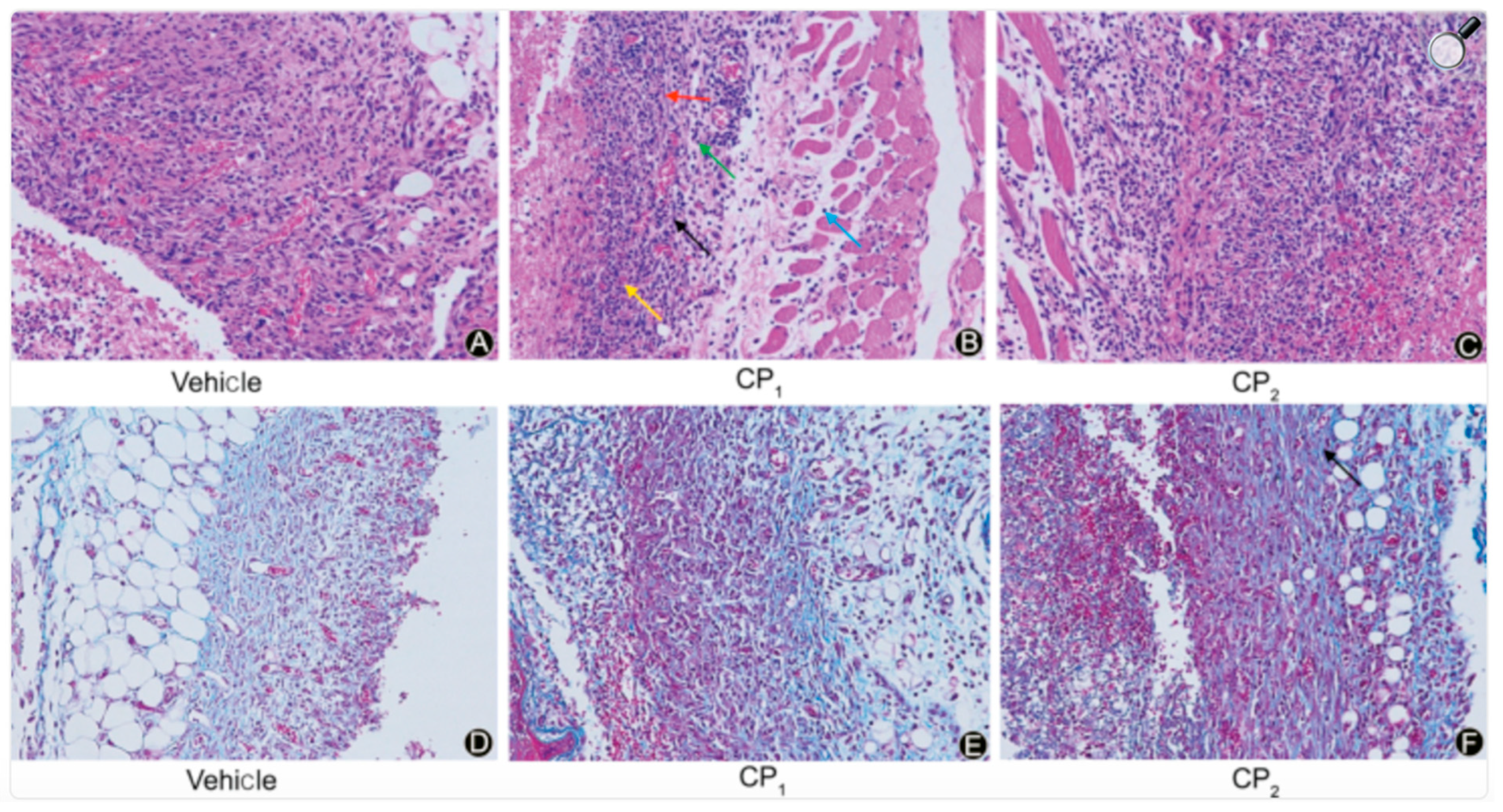 Preprints 206166 g007