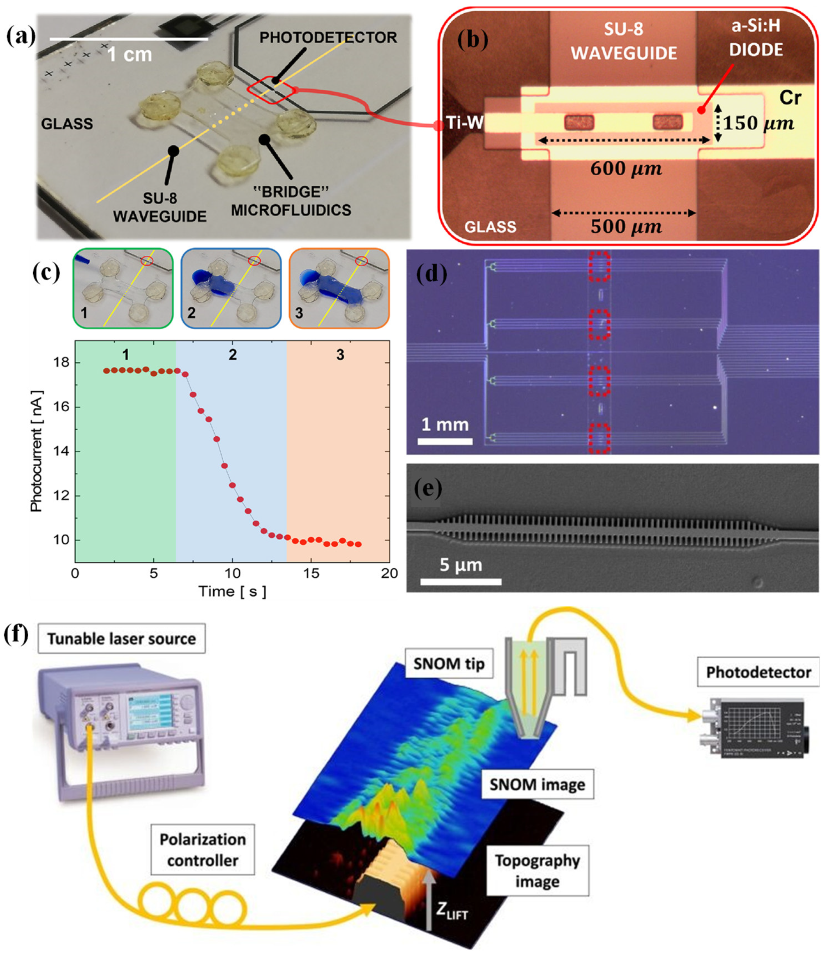 Preprints 157211 g001