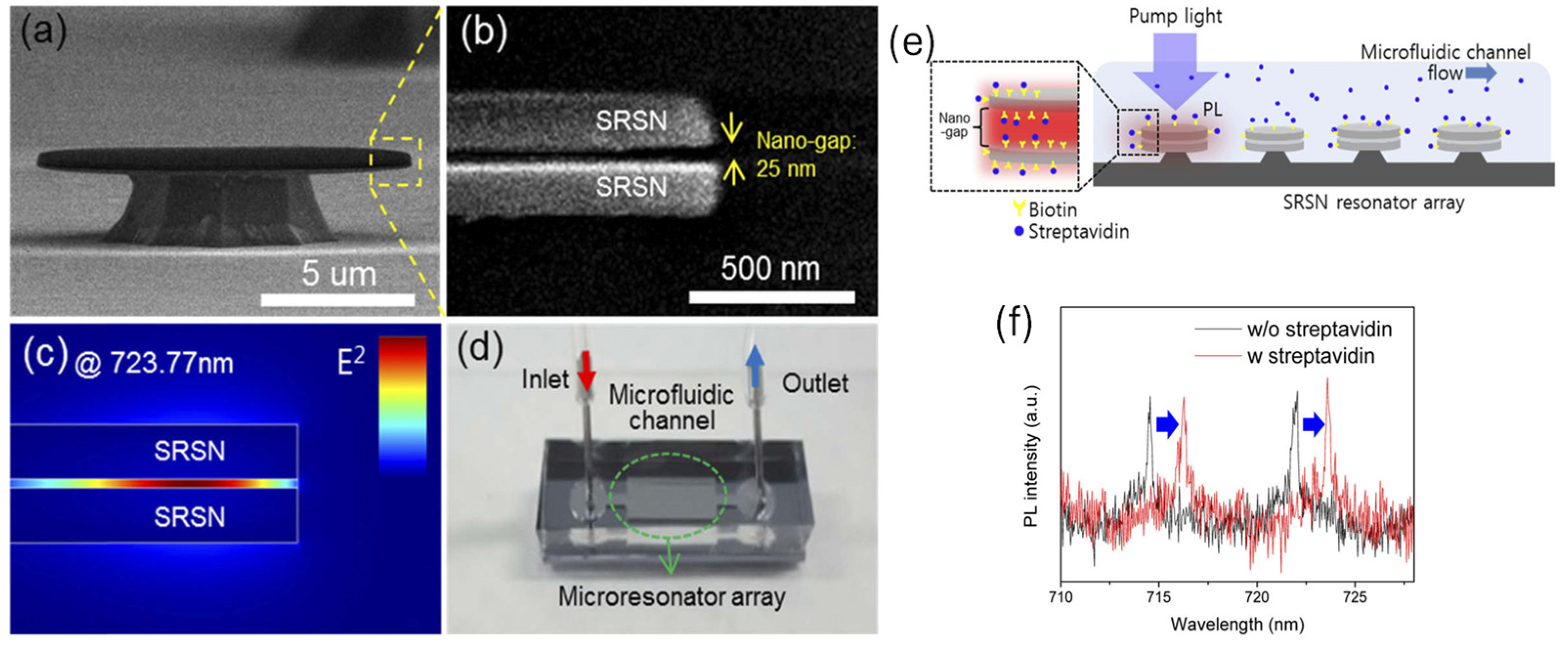 Preprints 157211 g003