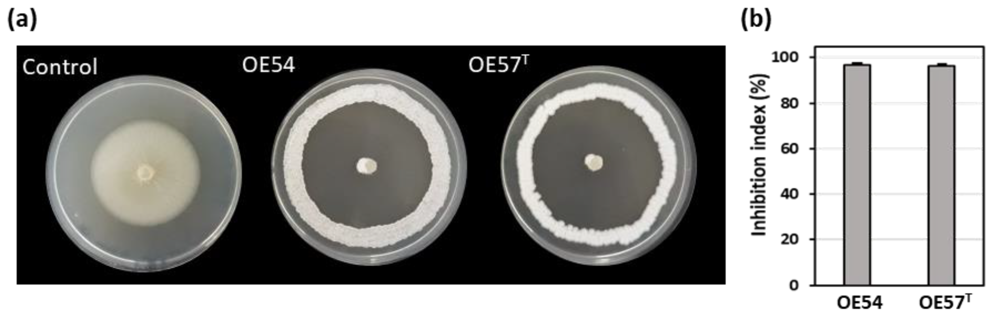 Preprints 163768 g001