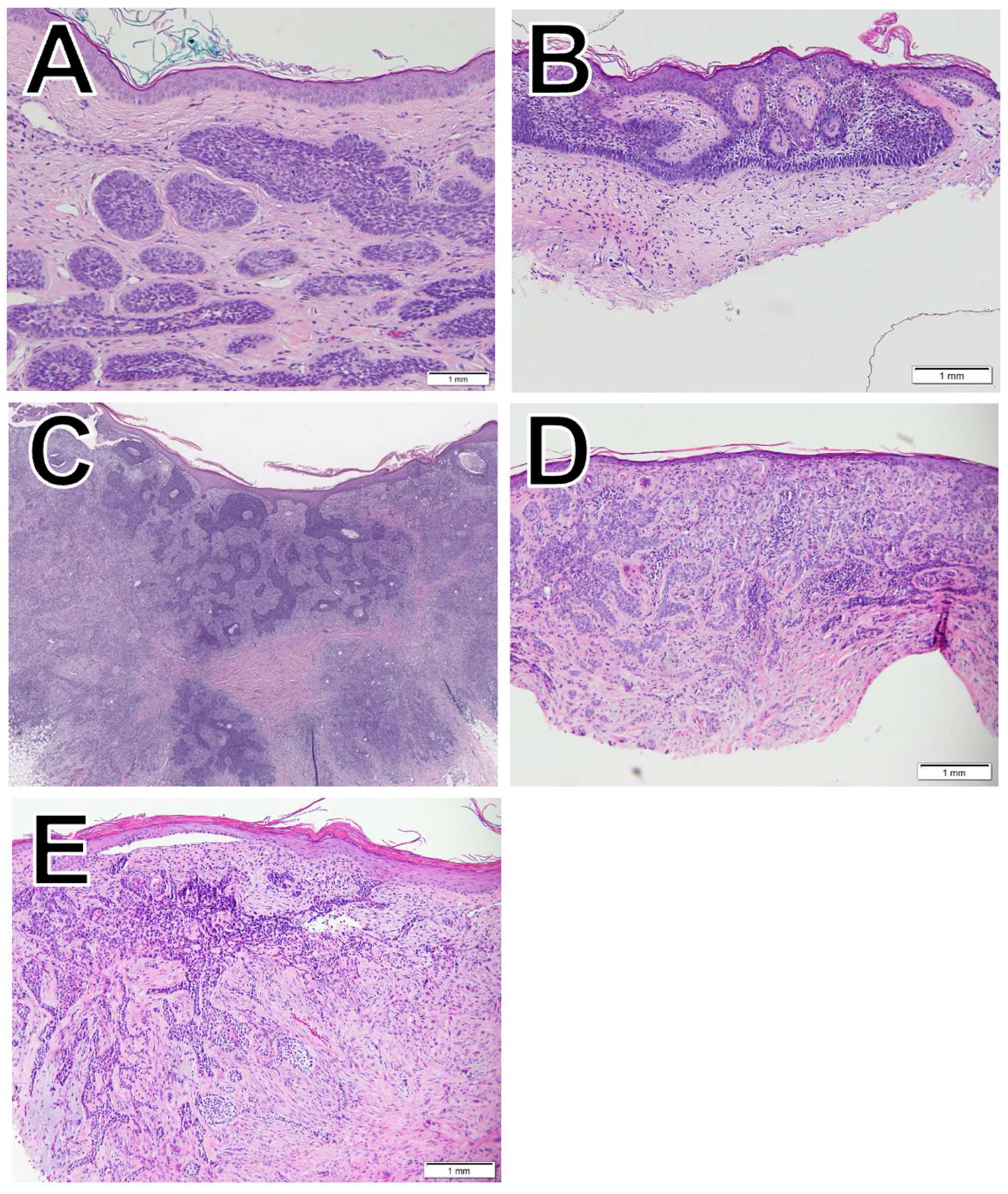 Preprints 120528 g001