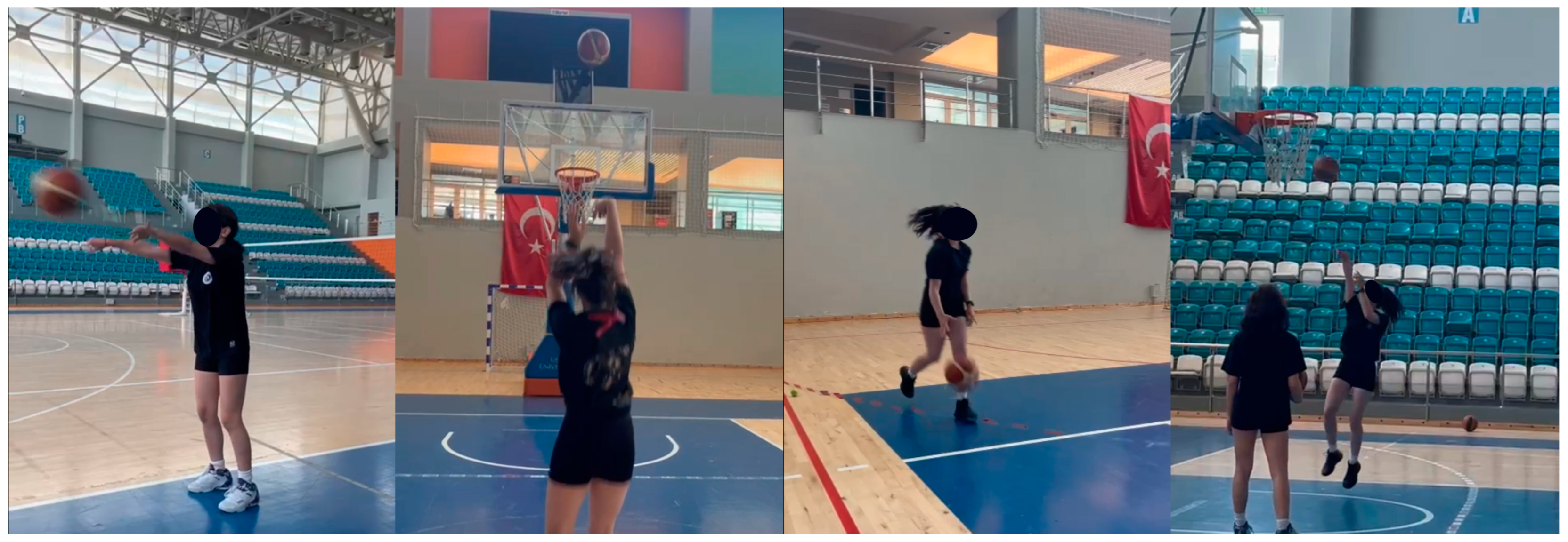 Preprints 142701 g005