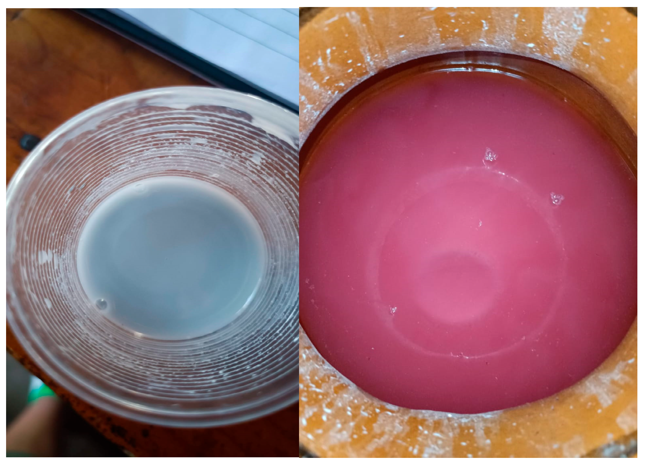 Preprints 160745 g001