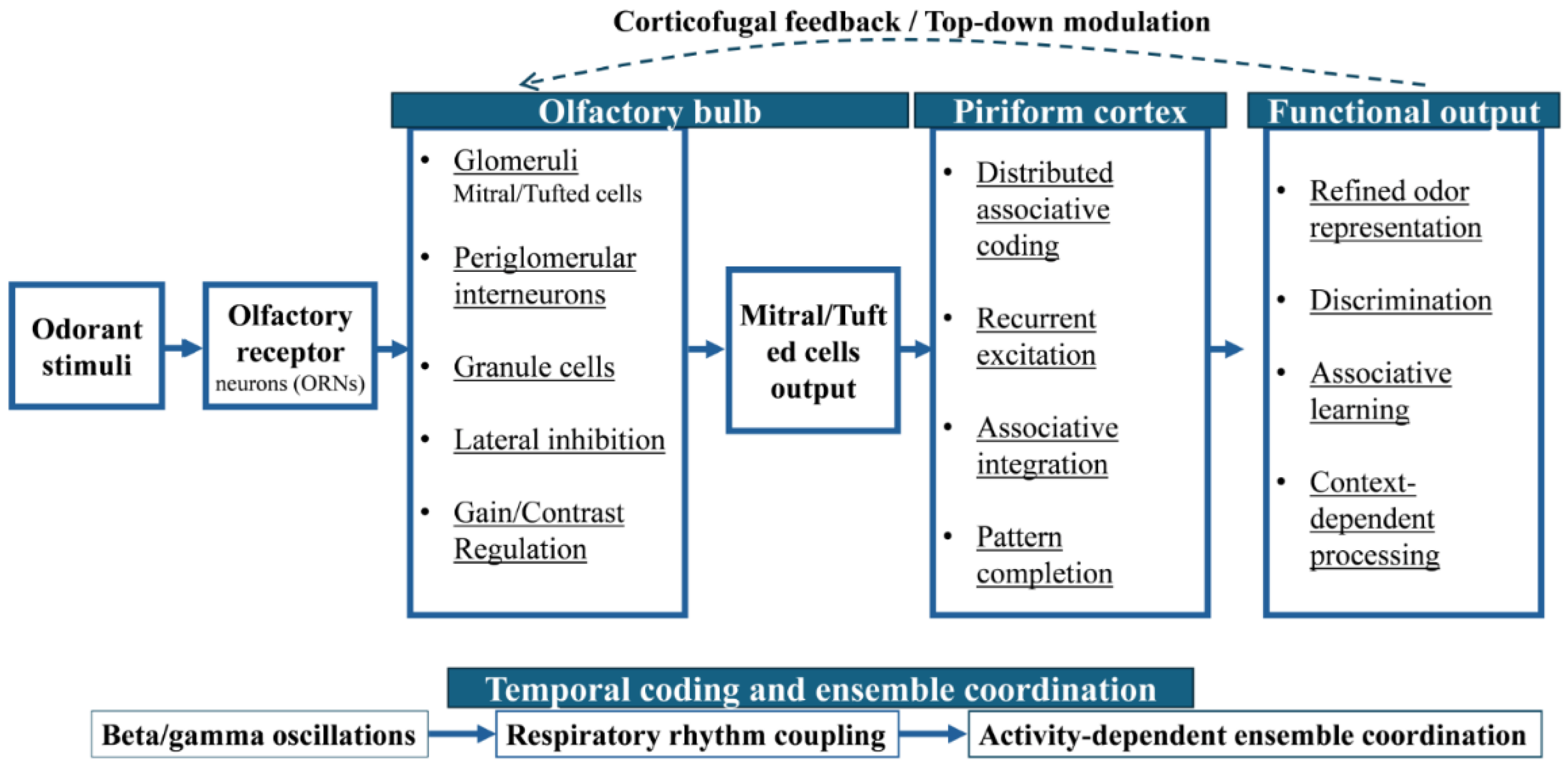 Preprints 207414 g001 Preprints 207414 g001