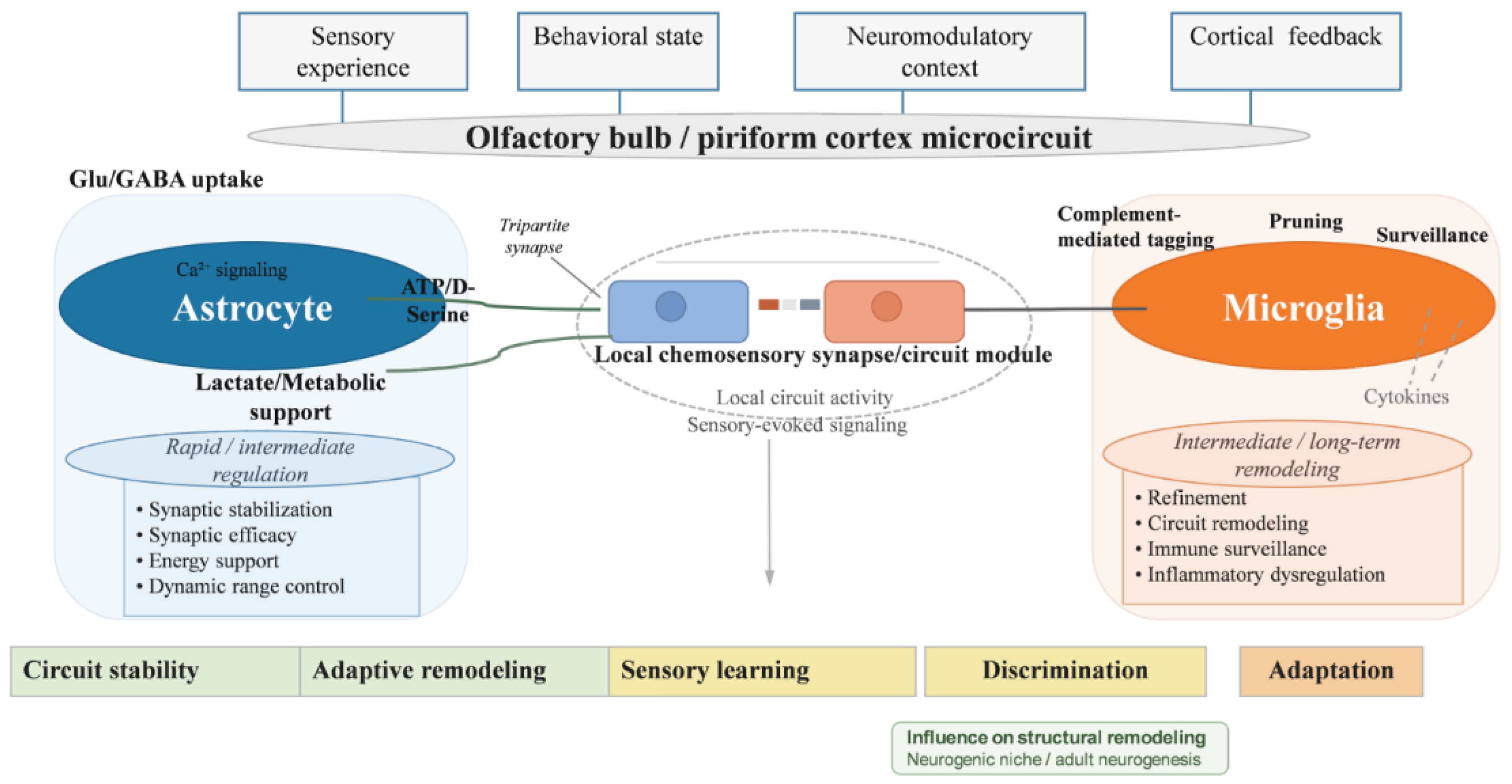 Preprints 207414 g002 Preprints 207414 g002