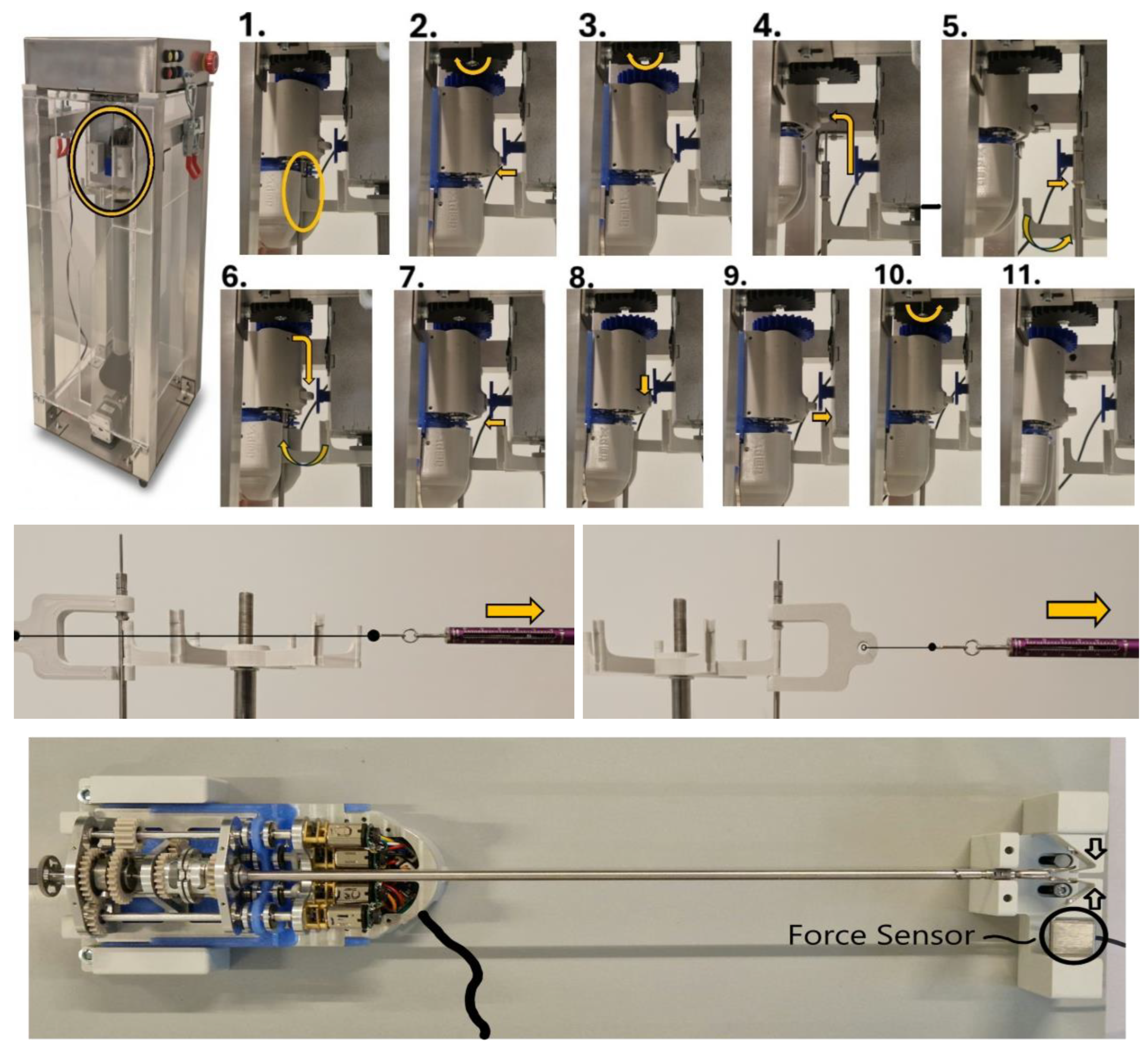 Preprints 216956 g005