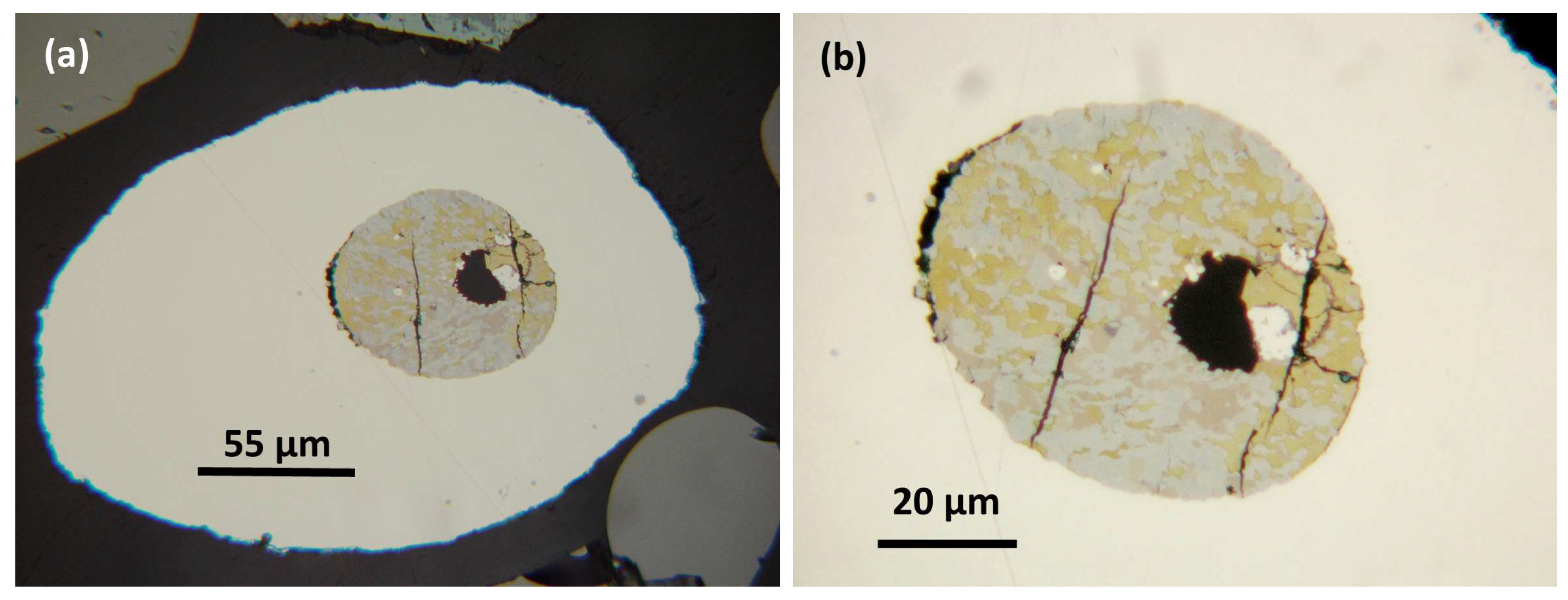 Preprints 182921 g004