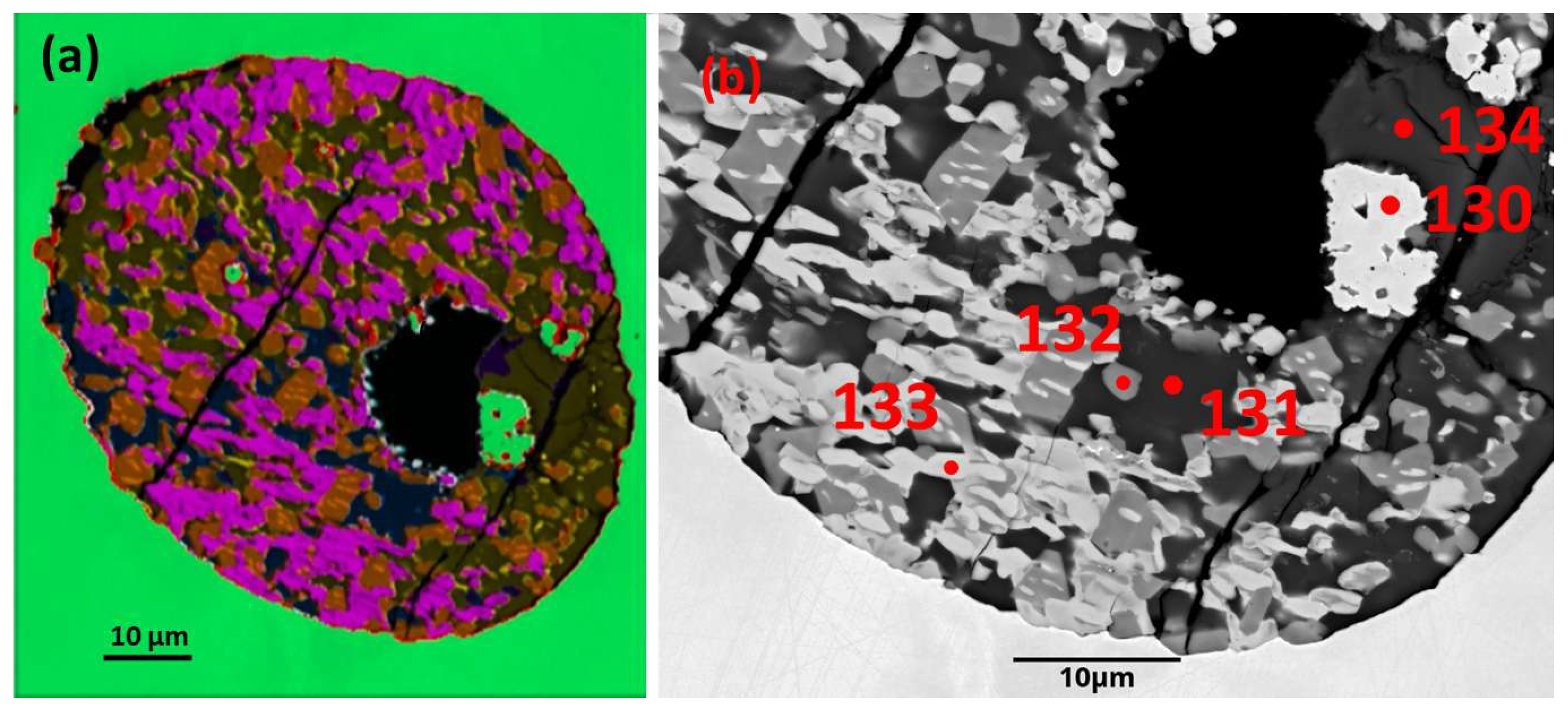 Preprints 182921 g005