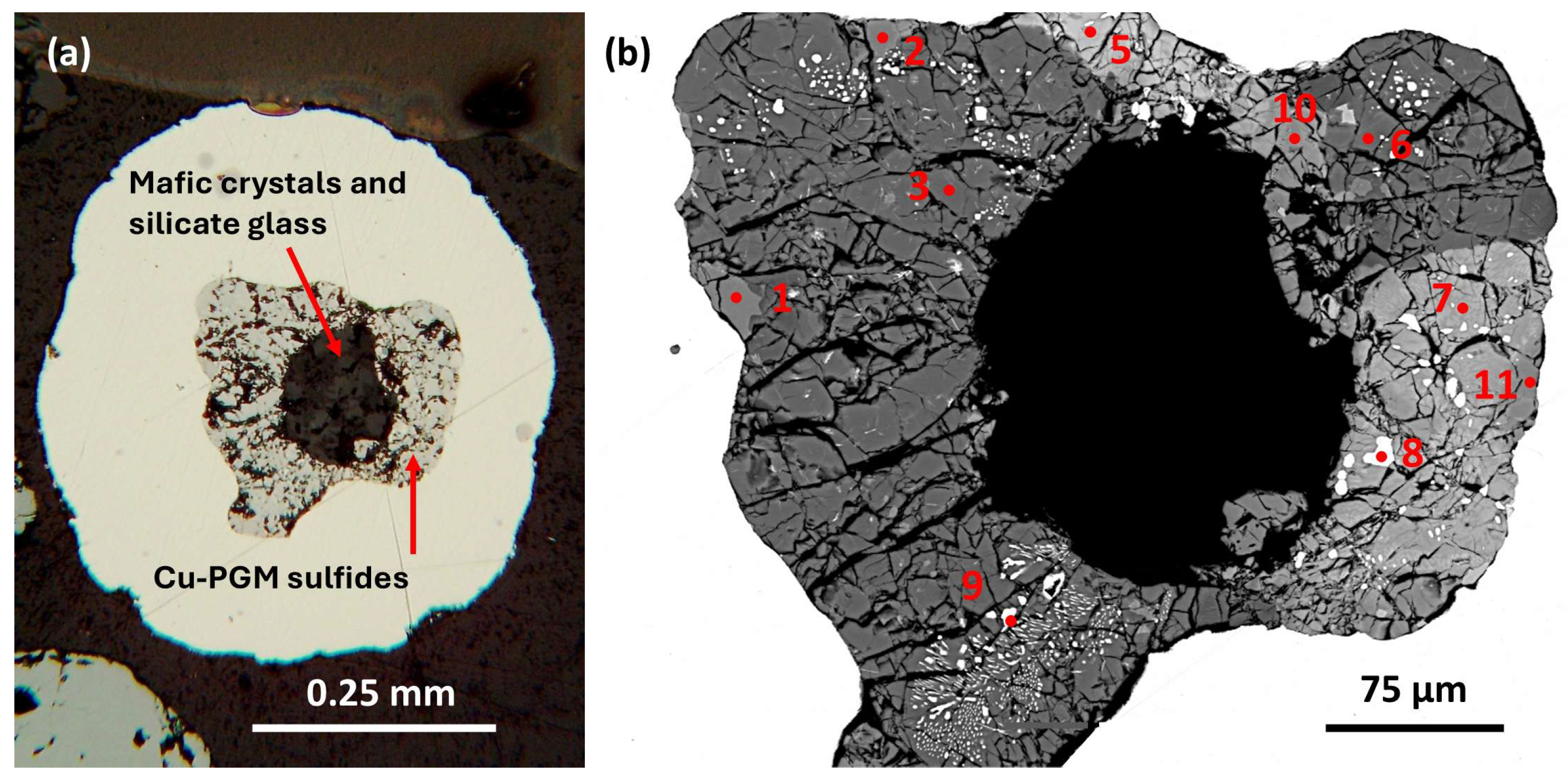 Preprints 182921 g009