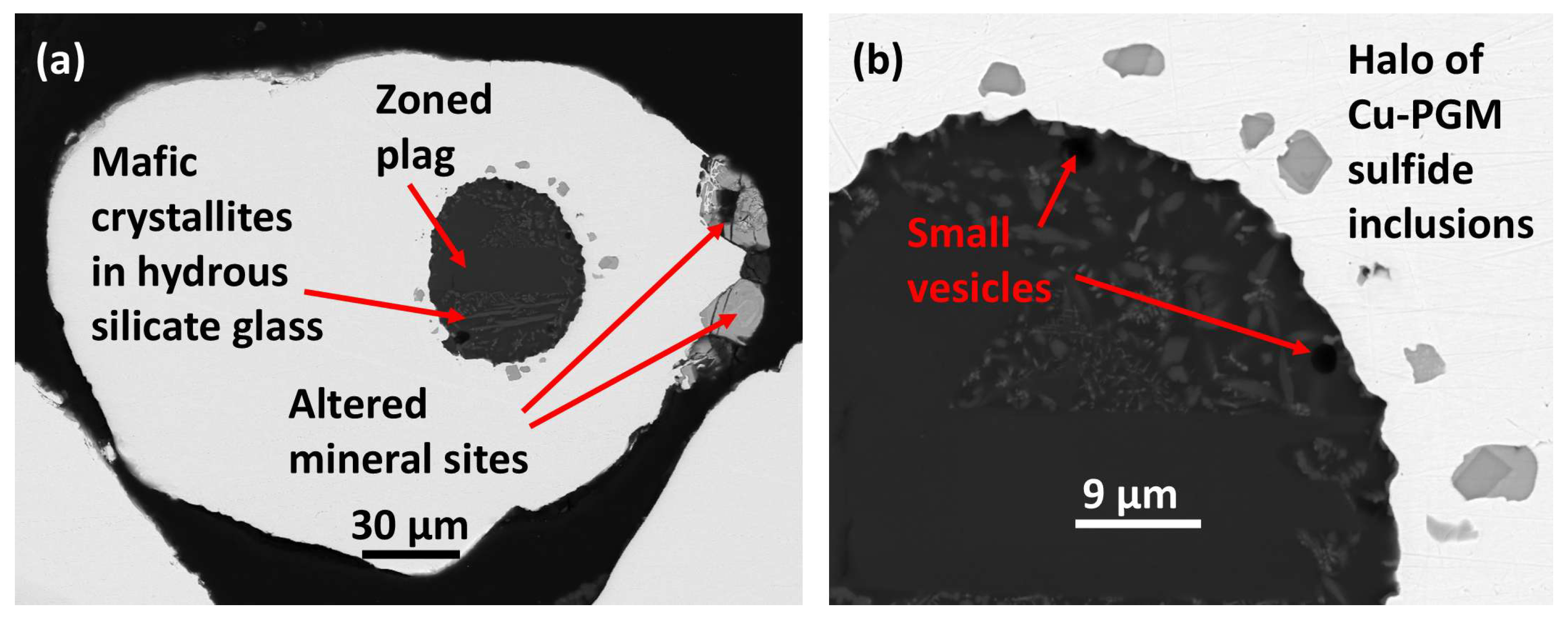 Preprints 182921 g011