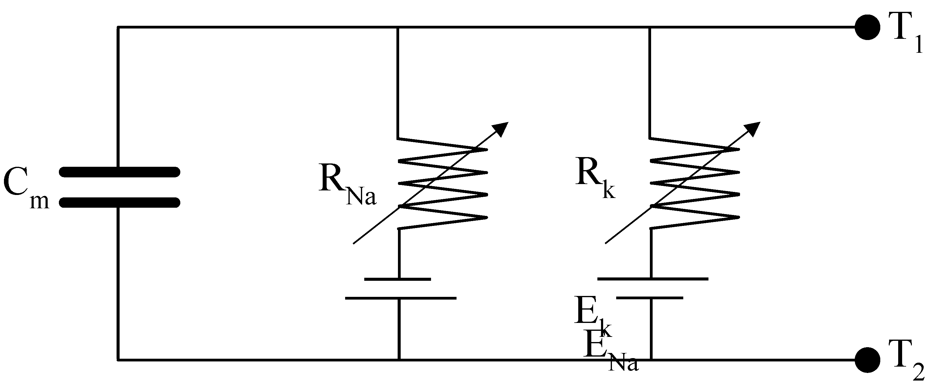 Preprints 148216 g002