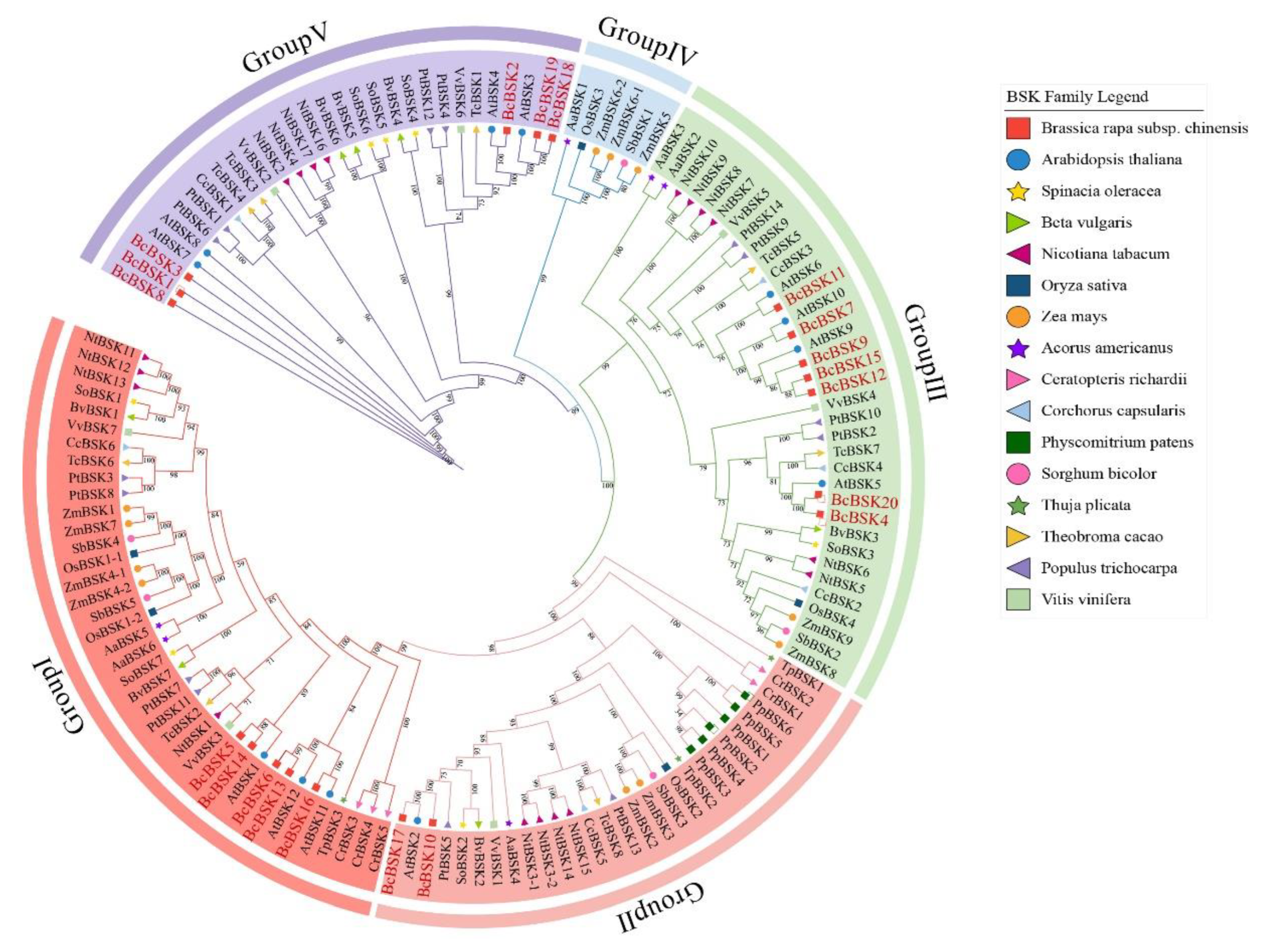 Preprints 207144 g001 Preprints 207144 g001
