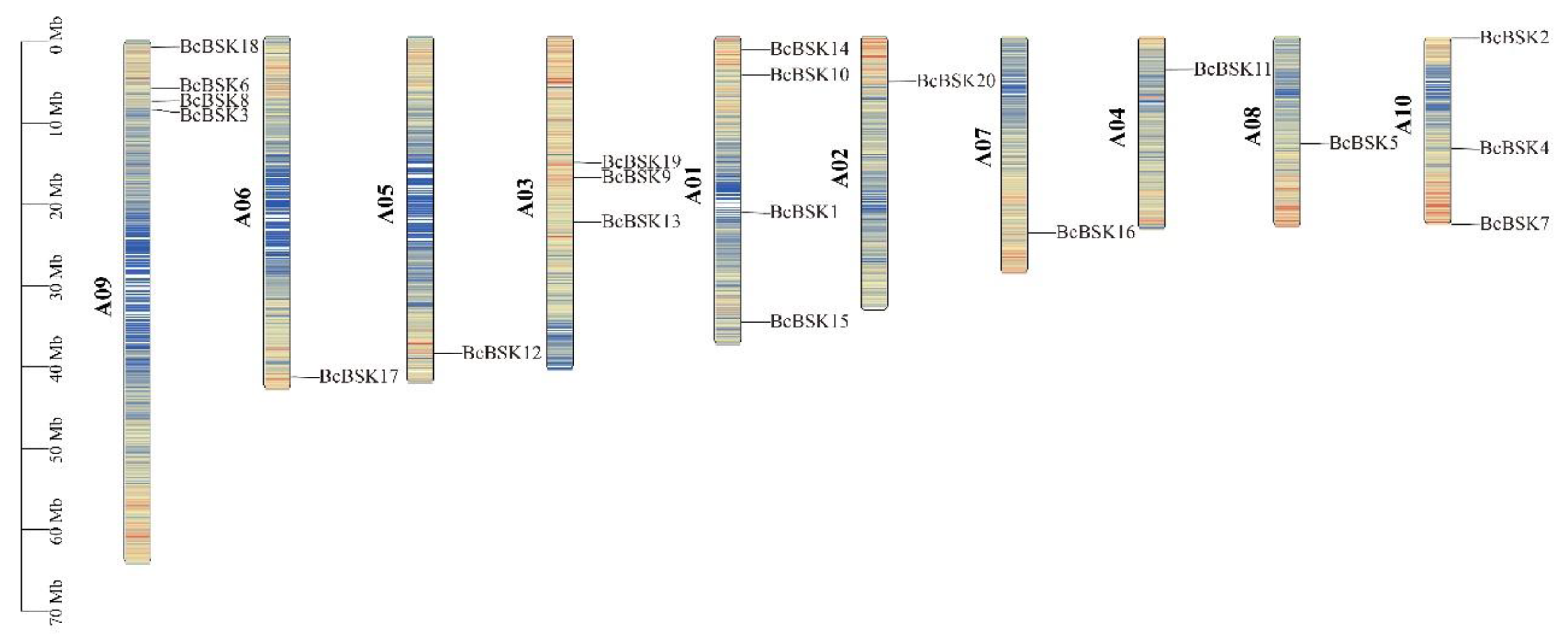 Preprints 207144 g002 Preprints 207144 g002