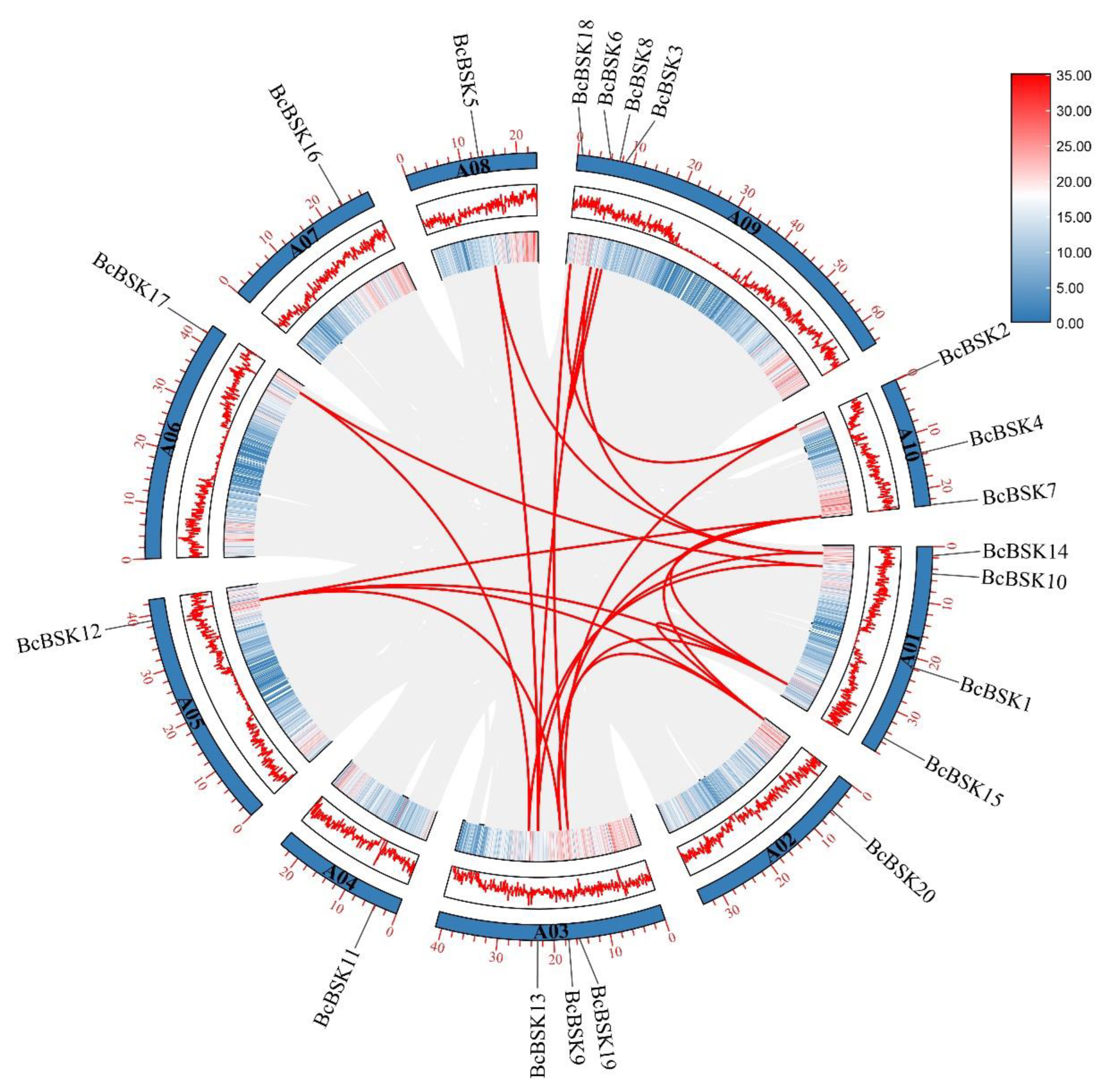Preprints 207144 g003 Preprints 207144 g003