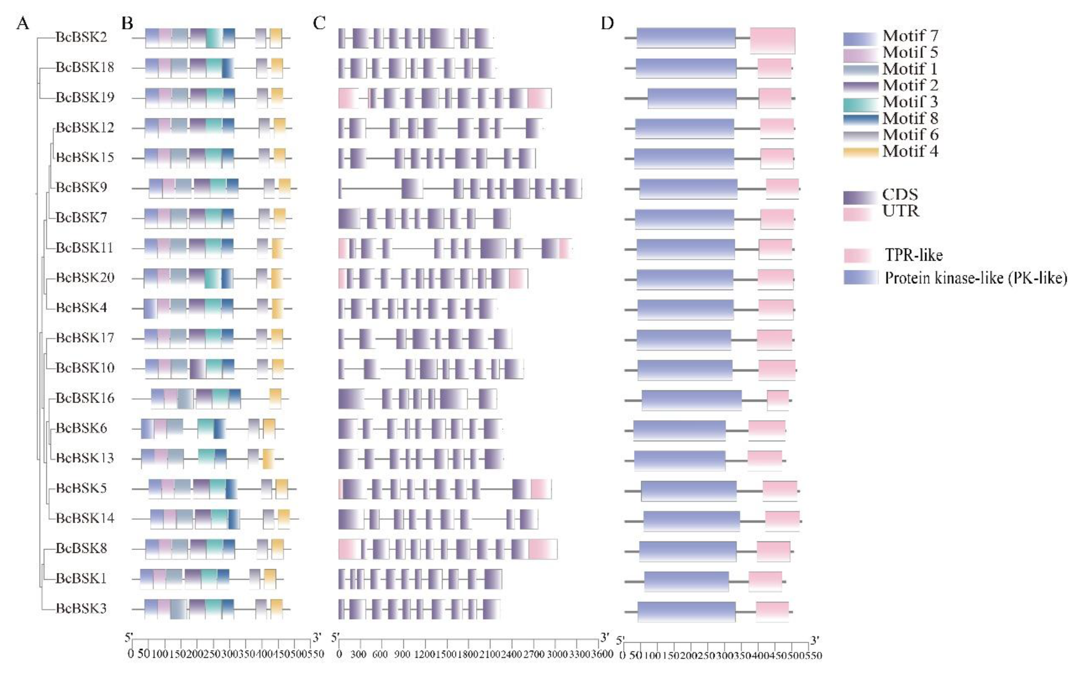 Preprints 207144 g004 Preprints 207144 g004